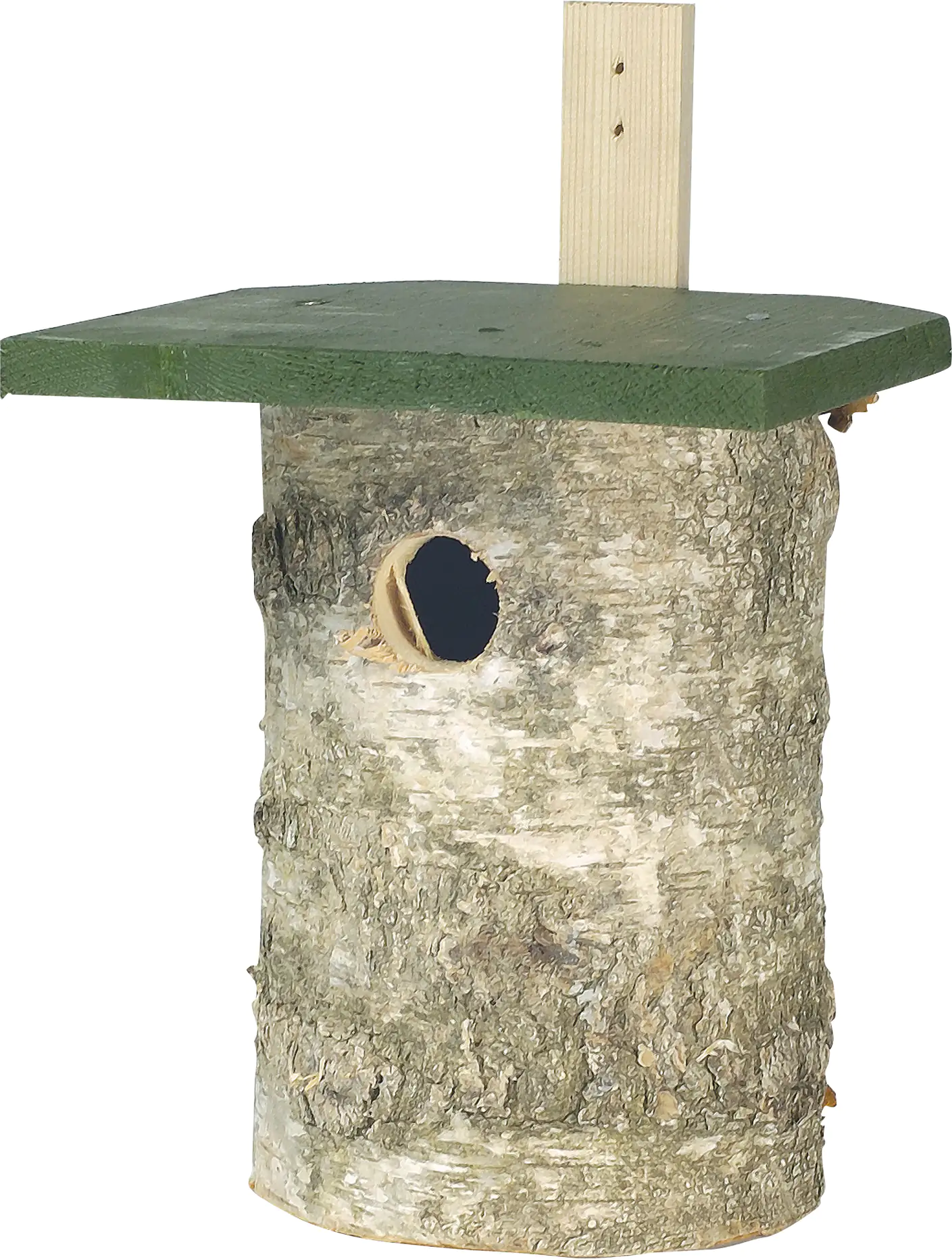 5051054156163 CJ Wildlife Nisthöhle Birkenholz grün LxBxH: 18x20x29,5 cm