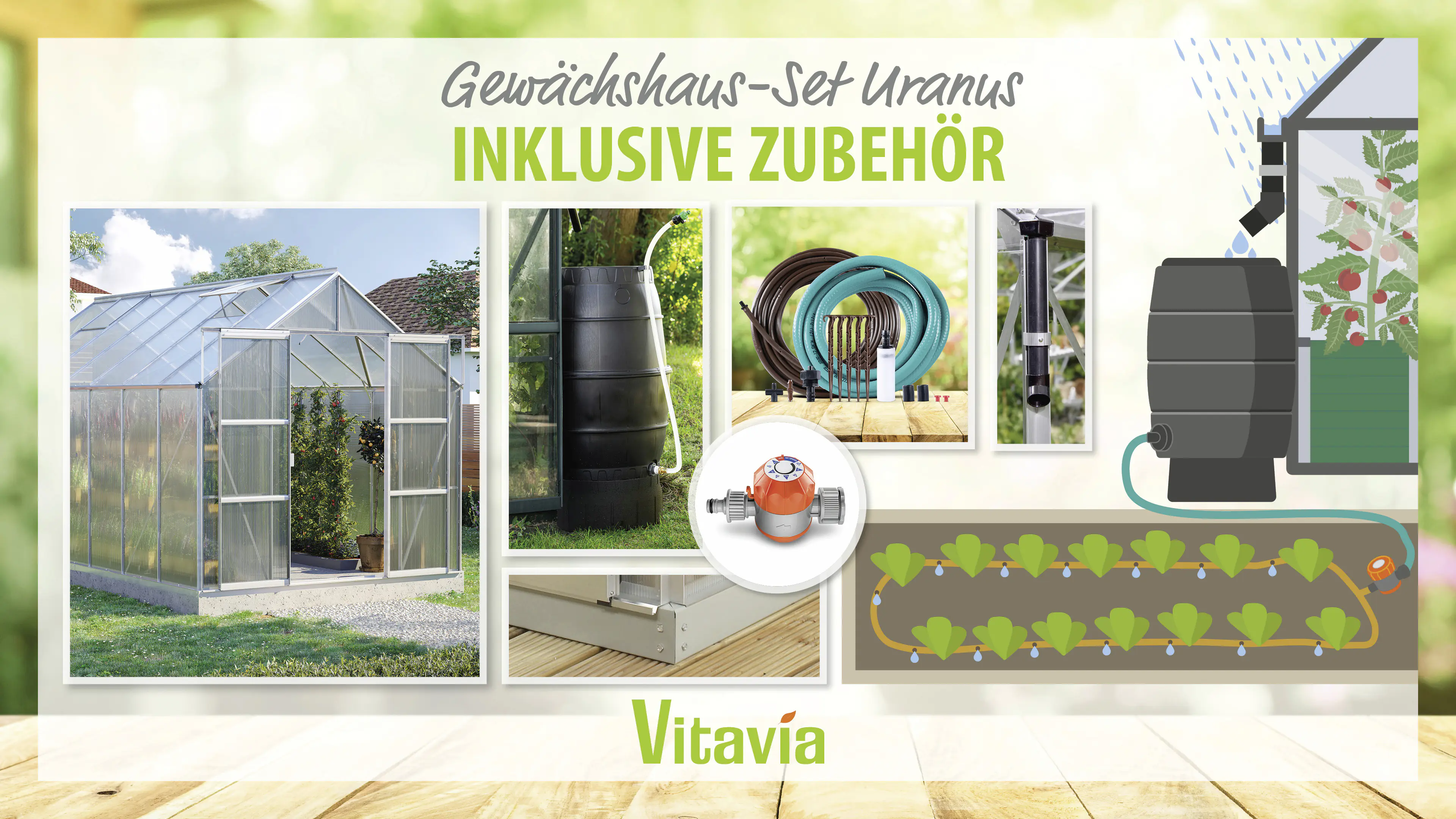 Vitavia Gewächshaus-Set Uranus 11500 HKP 6 mm alu 254 x 441 cm 