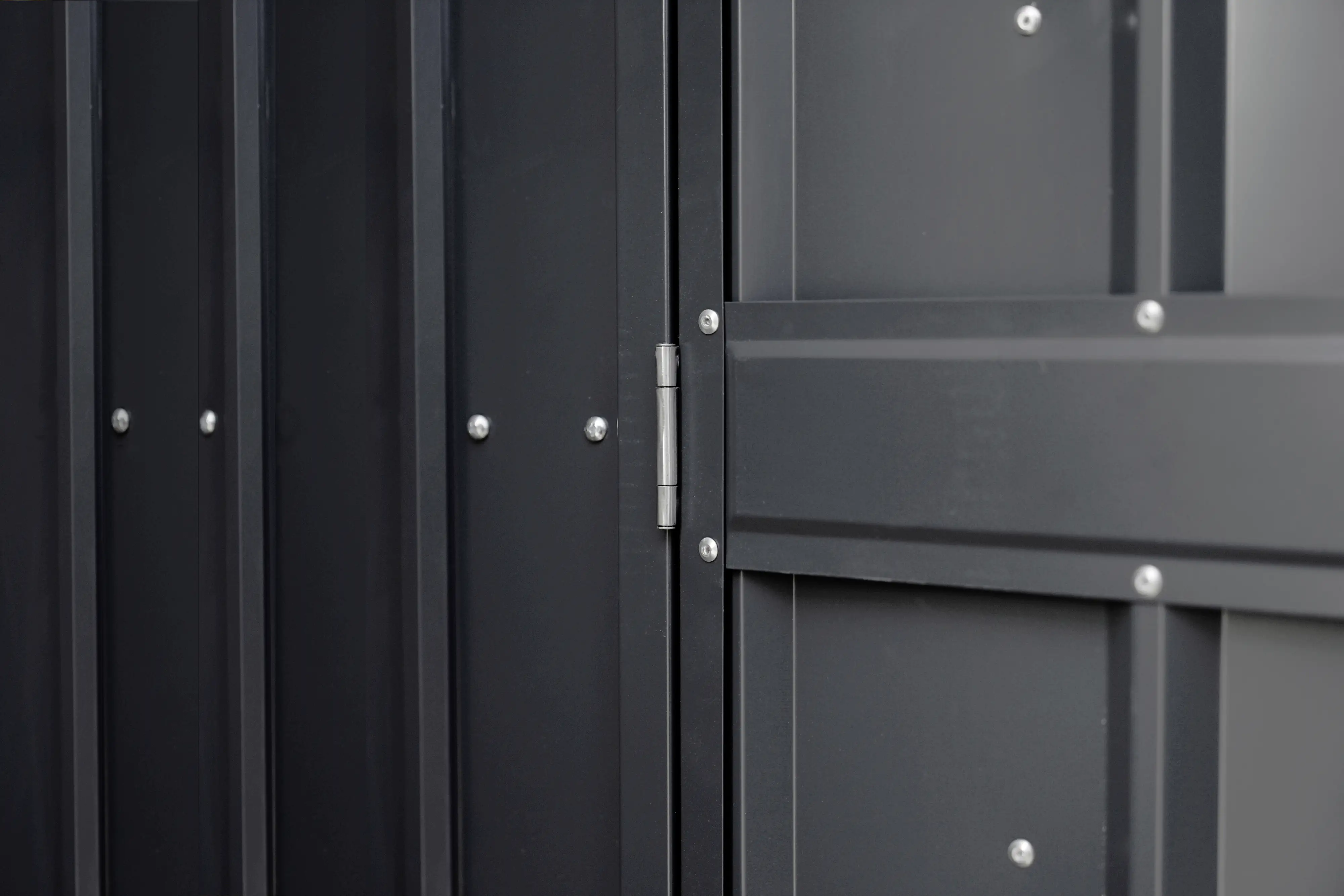 Globel Schwingtür-Set 2 67 x 194 cm anthrazit