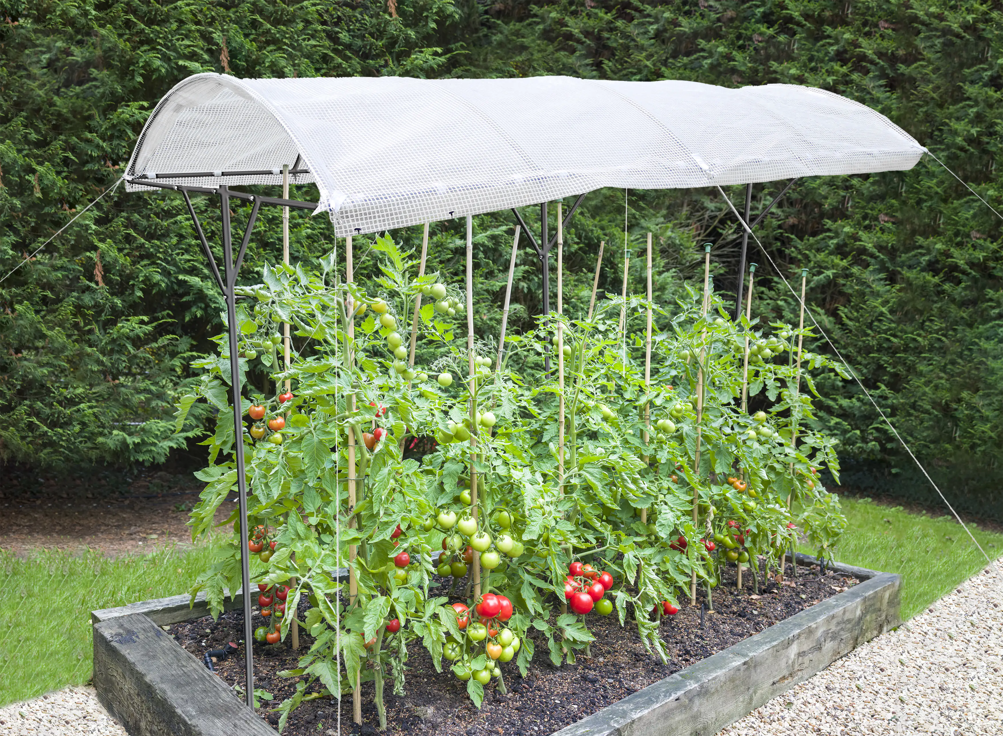 TrendLine Tomatenschutzdach ca. 200 x 112 x 80/180 cm