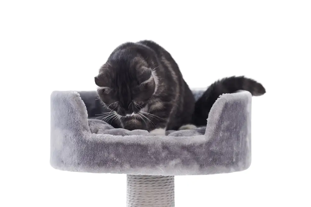 Nobby Kratzbaum Classic Zera H 97 cm grau