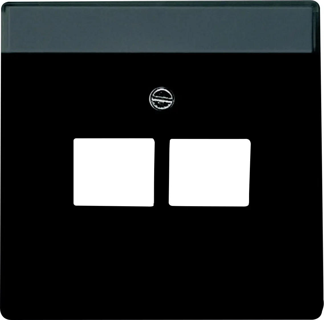 Busch Jaeger UAE-Abdeckung 2-fach Future Linear schwarz matt 1803-02-885