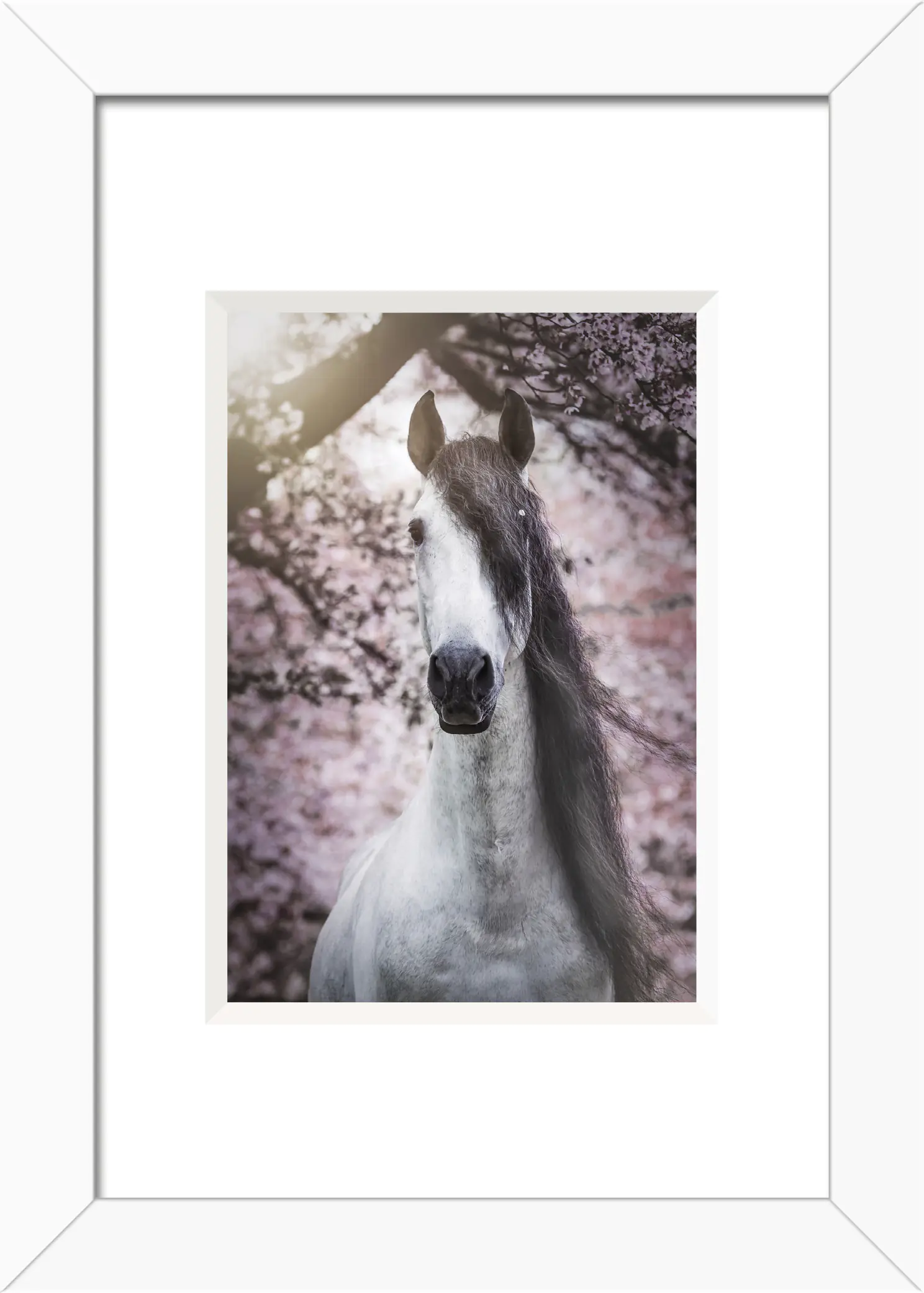 Holz Bilderrahmen Baltic weiß 10 x 15 cm