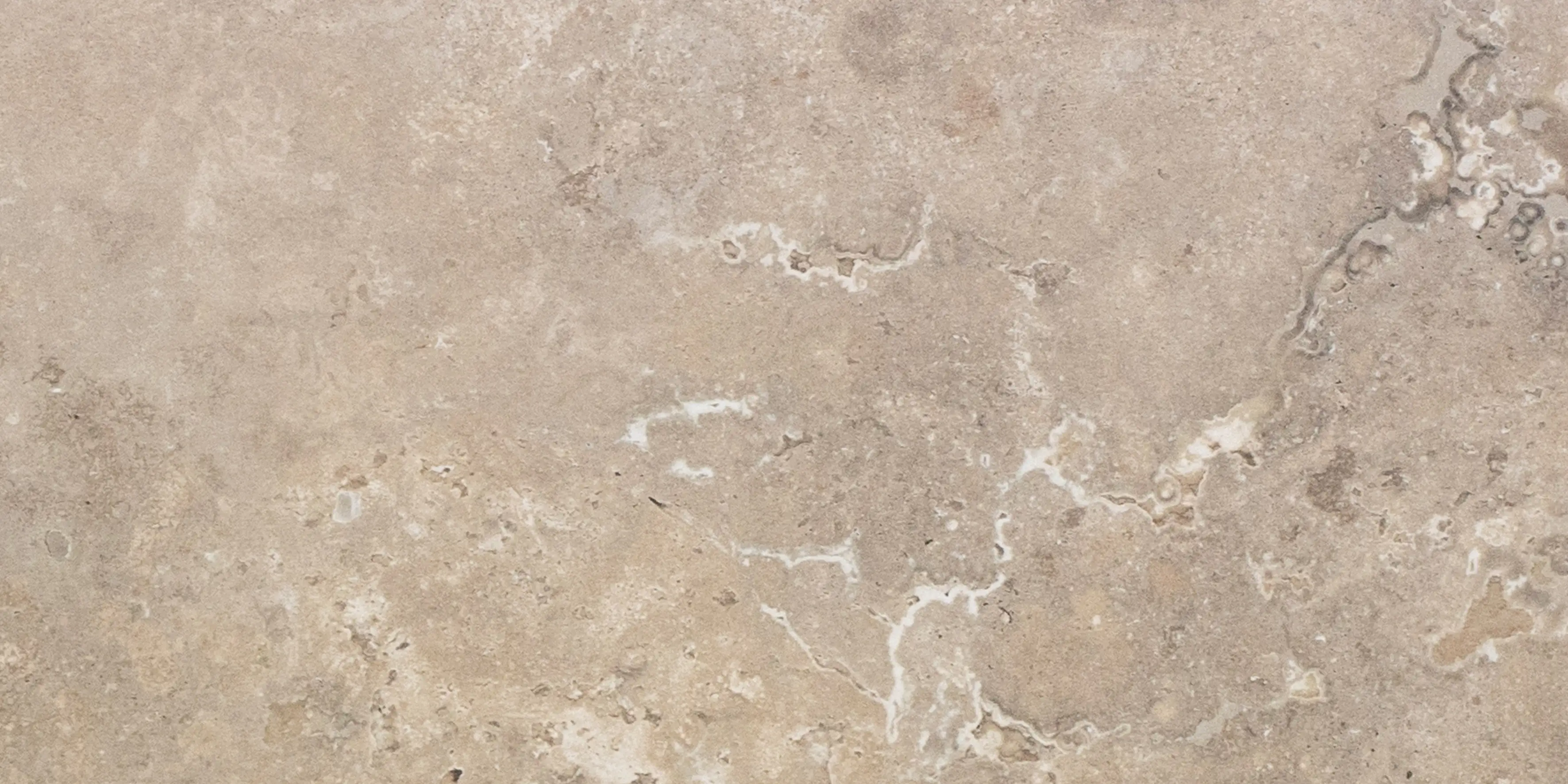 Bodenfliese Feinsteinzeug Travertino 30 x 60 cm crema