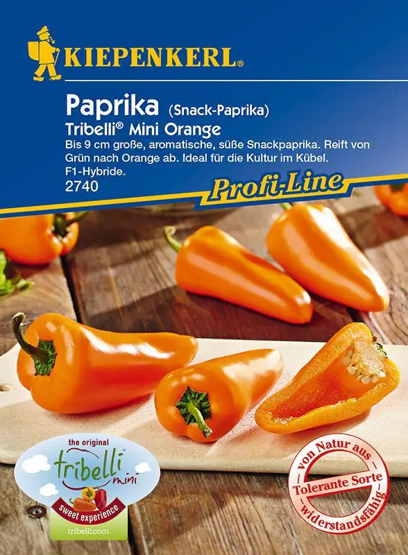 Kiepenkerl Snackpaprika Tribelli® Mini Orange Capsicum annuum, Inhalt: 5 Korn
