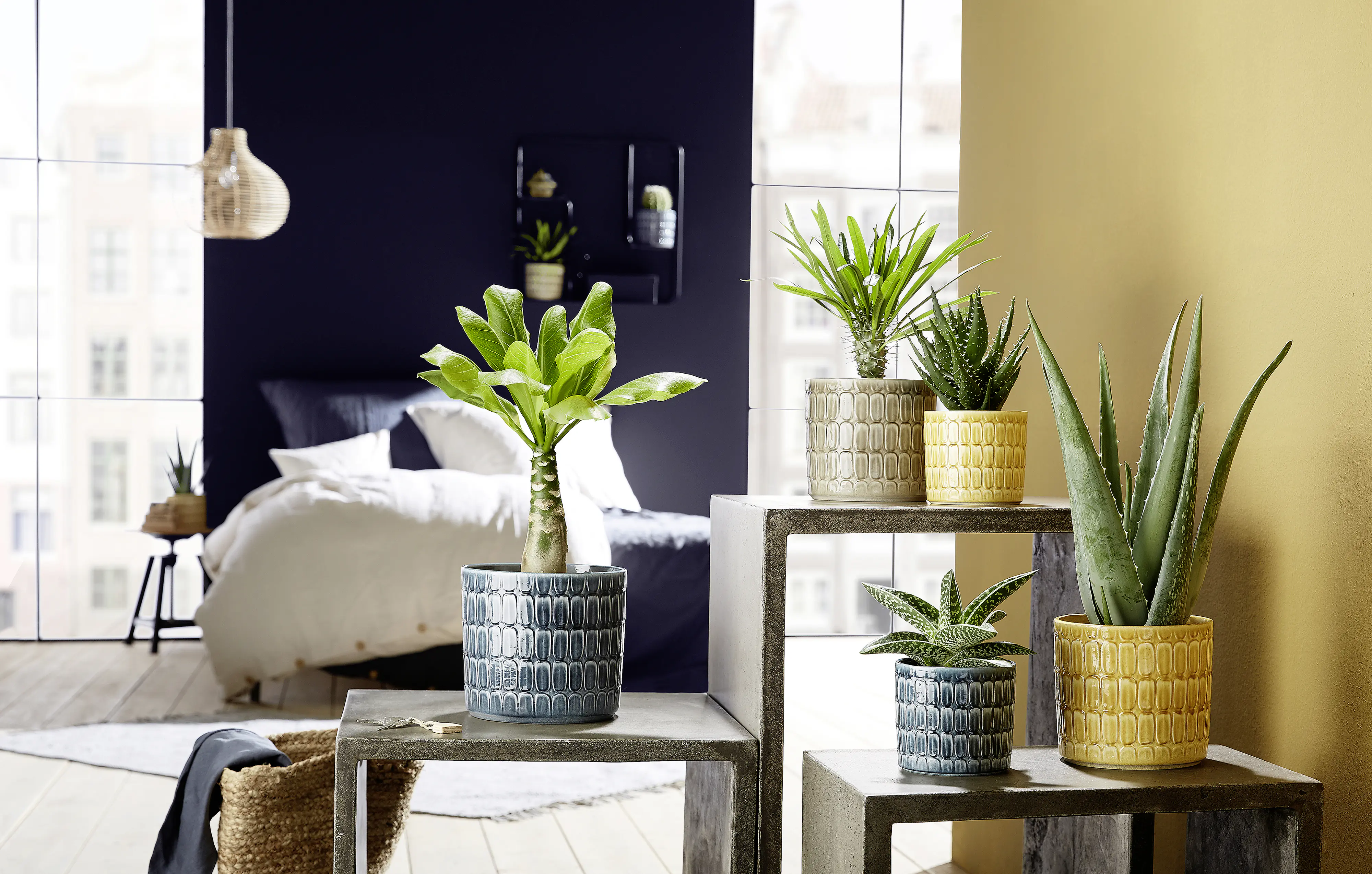 Scheurich Übertopf Lagom Ø 18,6 x 17,2 cm alma anthrazit