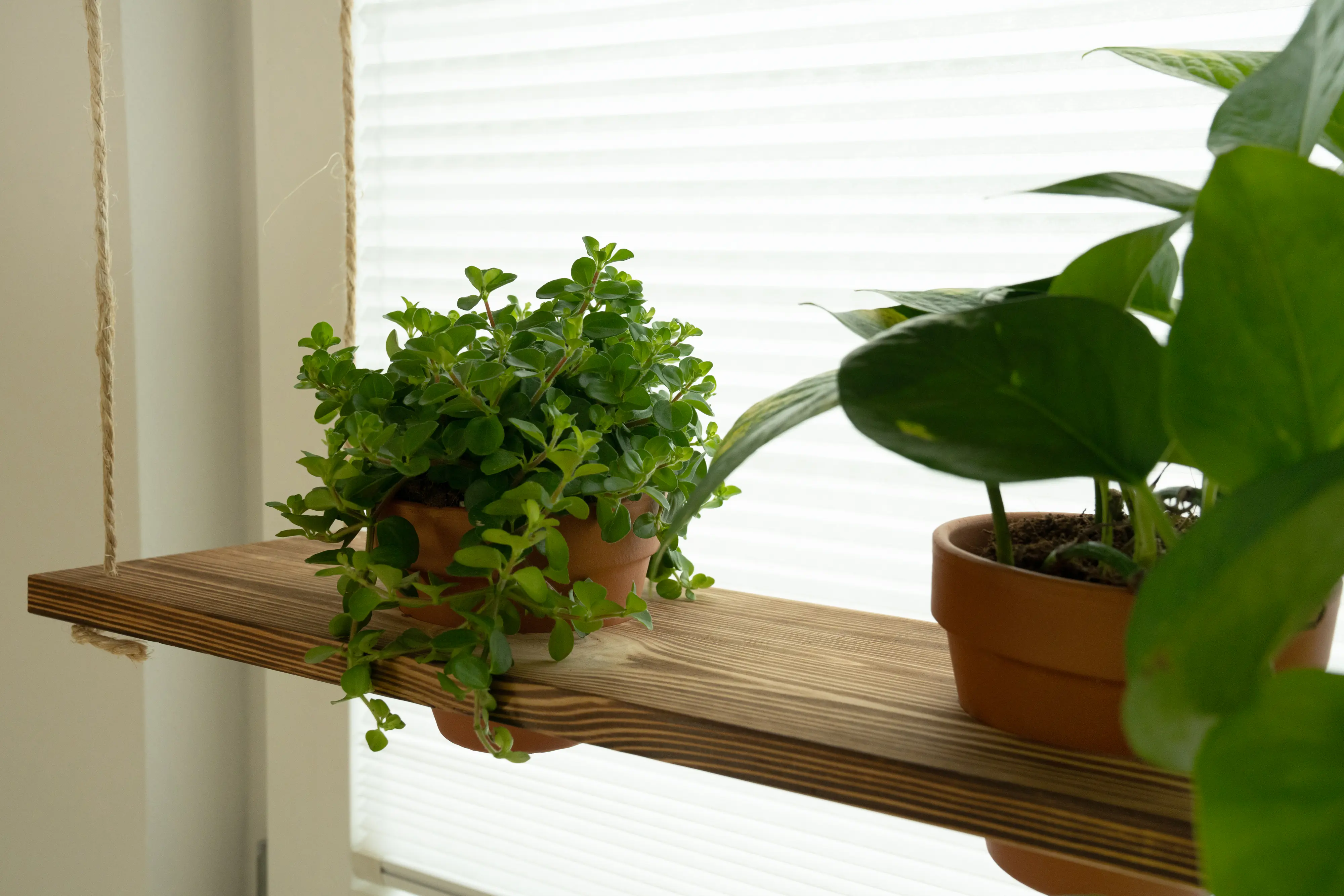 Rettenmeier Leimholzplatte geflammt 80 x 40 x 1,8 cm