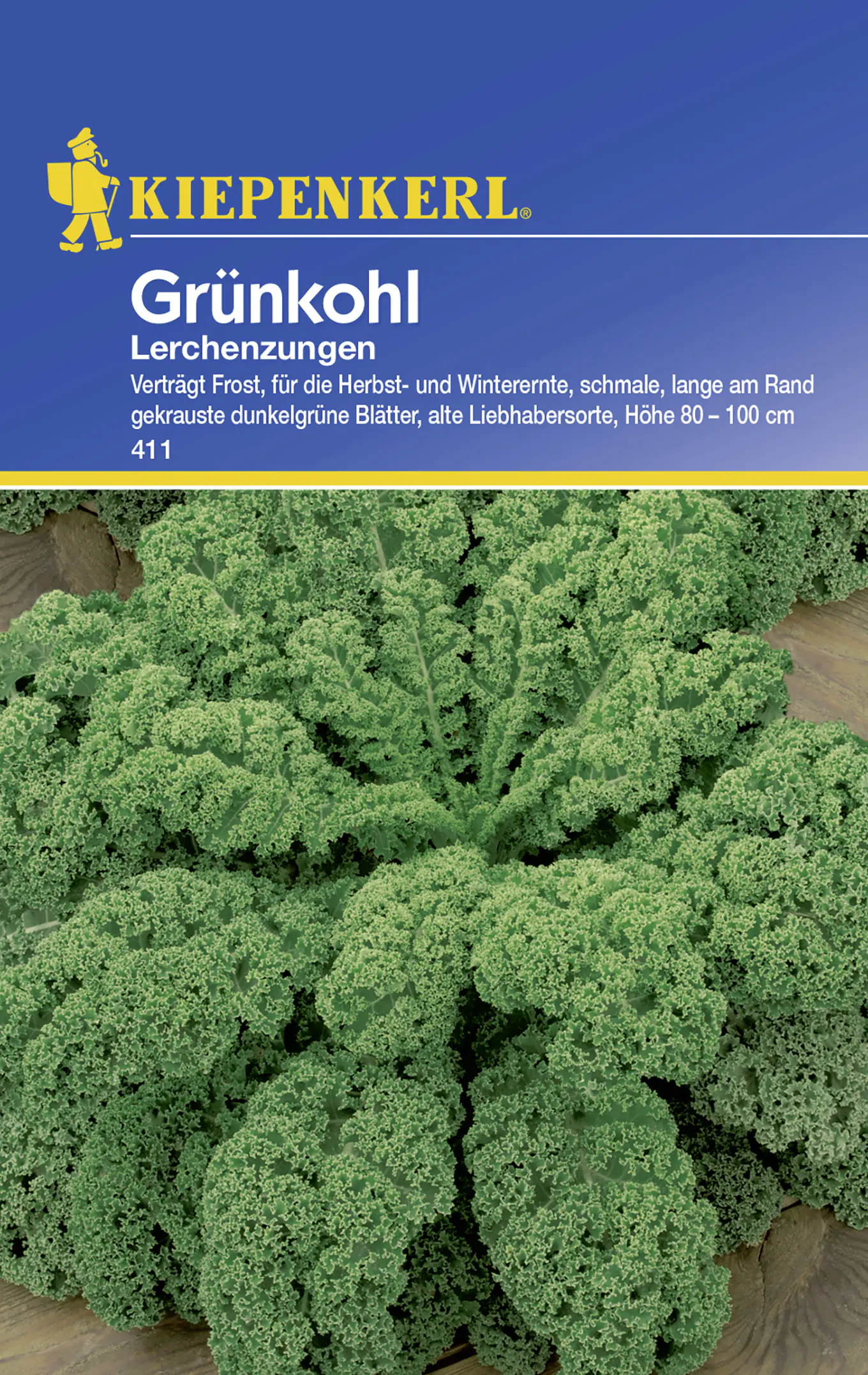 Kiepenkerl Grünkohl Lerchenzungen Brassica oleracea var. sabellica, Inhalt: ca. 100 Pflanzen