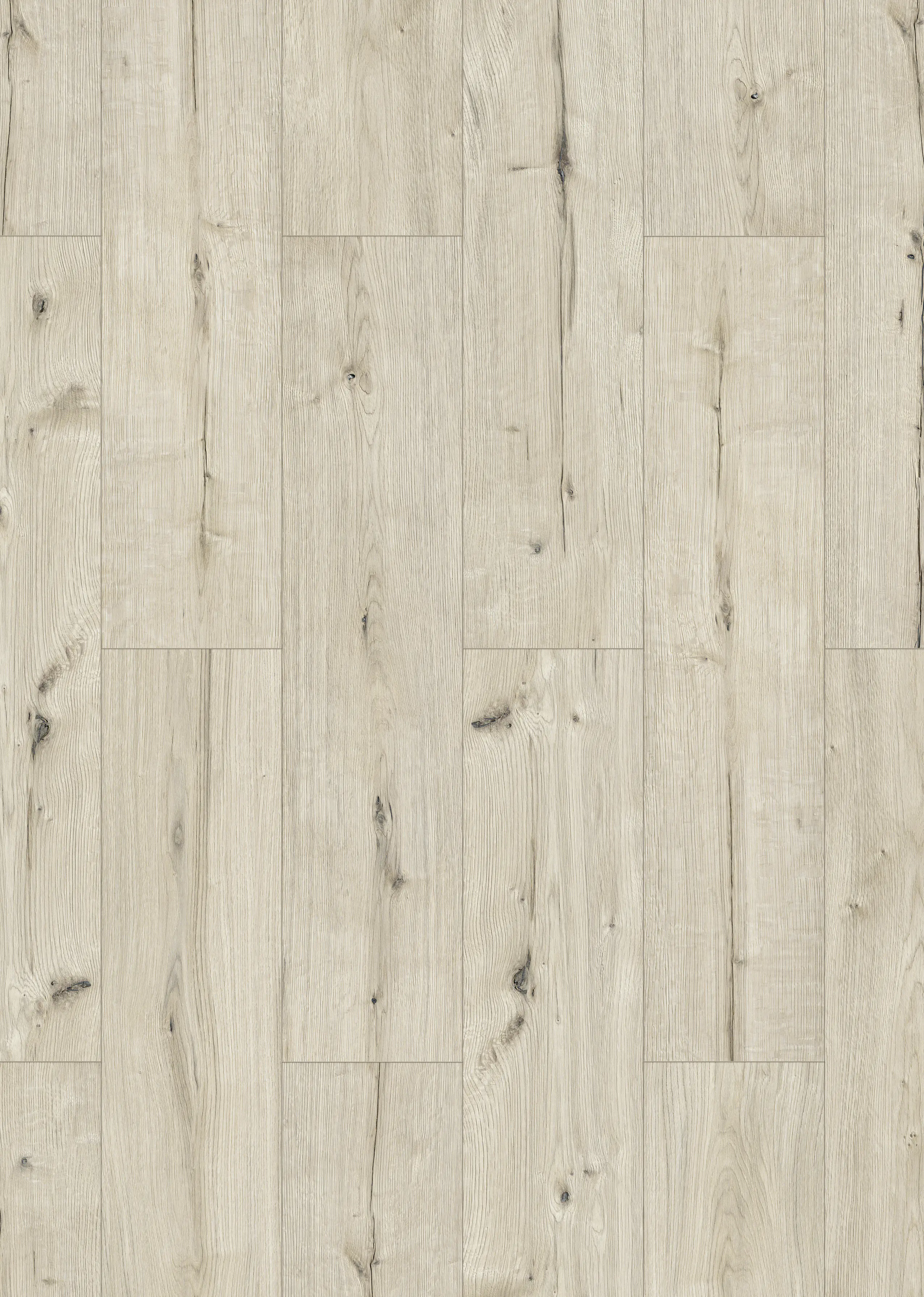 Classen Laminat Megaloc Aquaprotect XL Eiche greige hell LHD Classen Laminat Megaloc Aquaprotect XL Eiche greige hell LHD