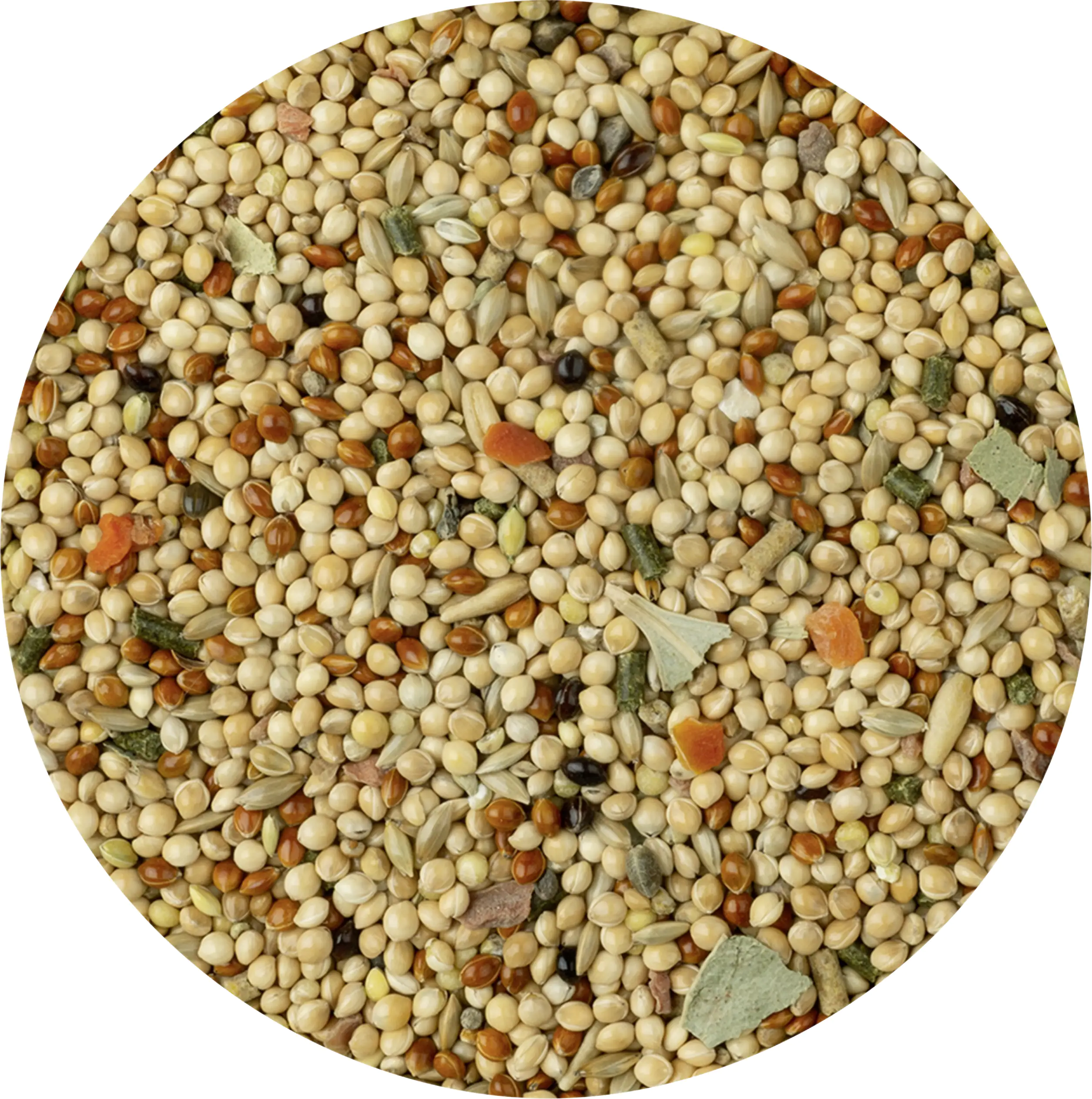 Vitakraft Premium Menü Junior 500 g