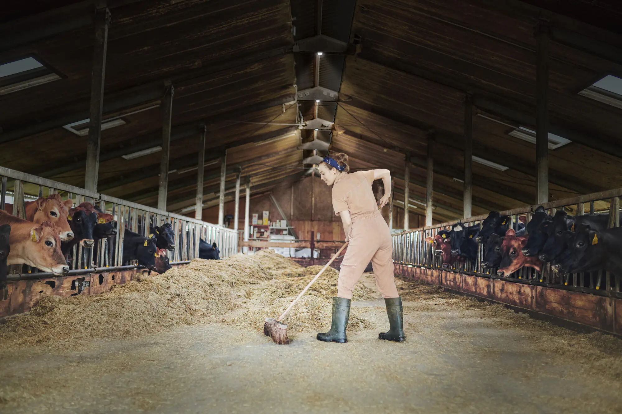 Osram LED Hallenleuchte Highbay Ufo 130W 865 IP65 schwarz