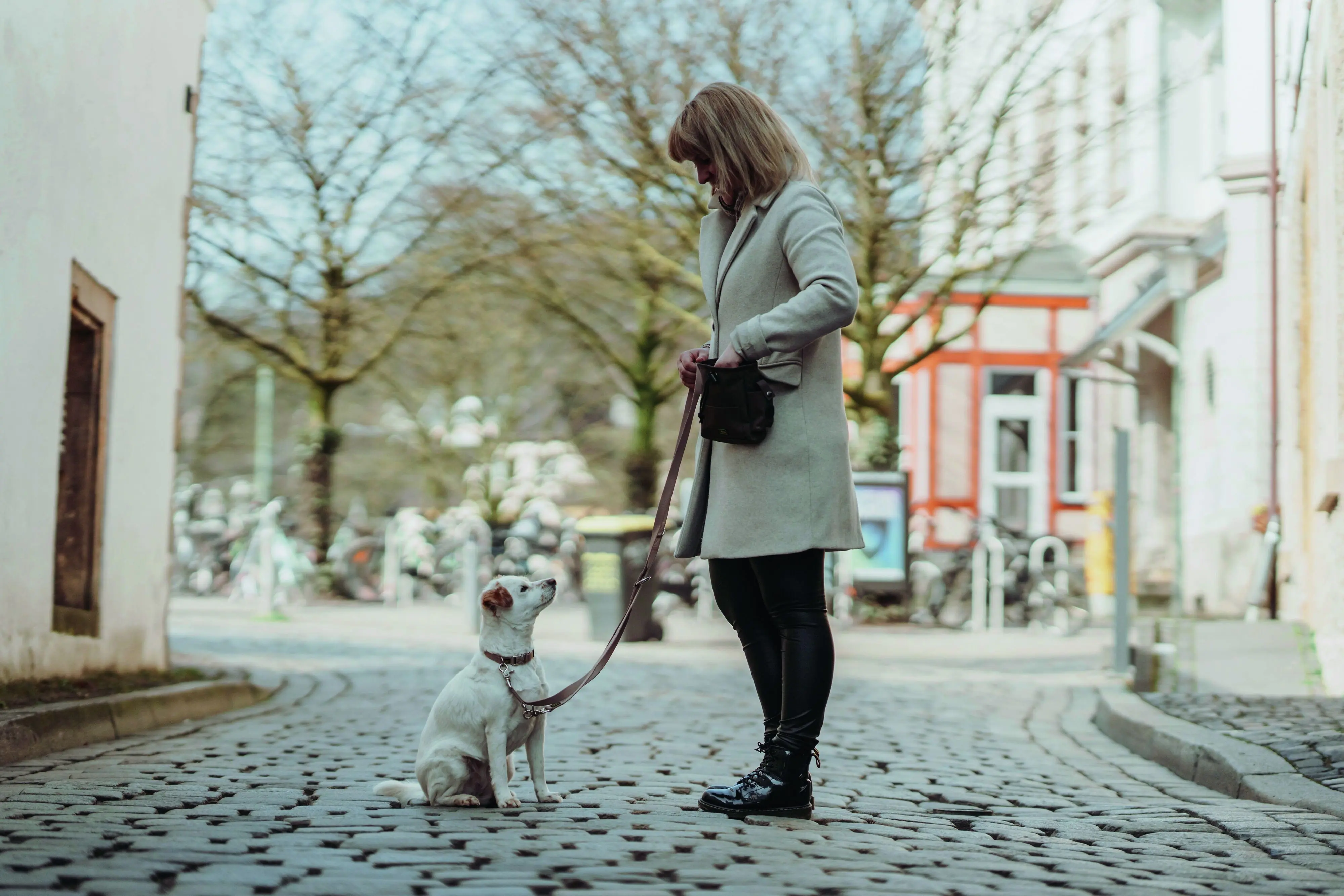 Hunter Hundeleine Führleine verstellbar Inari 2 m x 2 cm beige