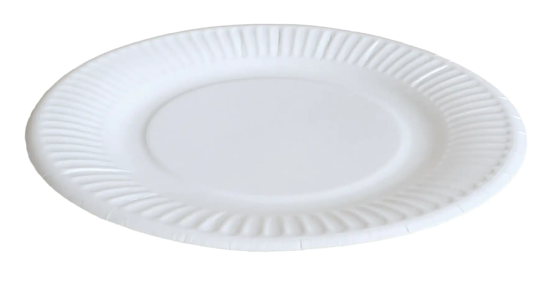 4014995248282 Braun & Company Pappteller Ø 19 cm By Nature 20 Stück