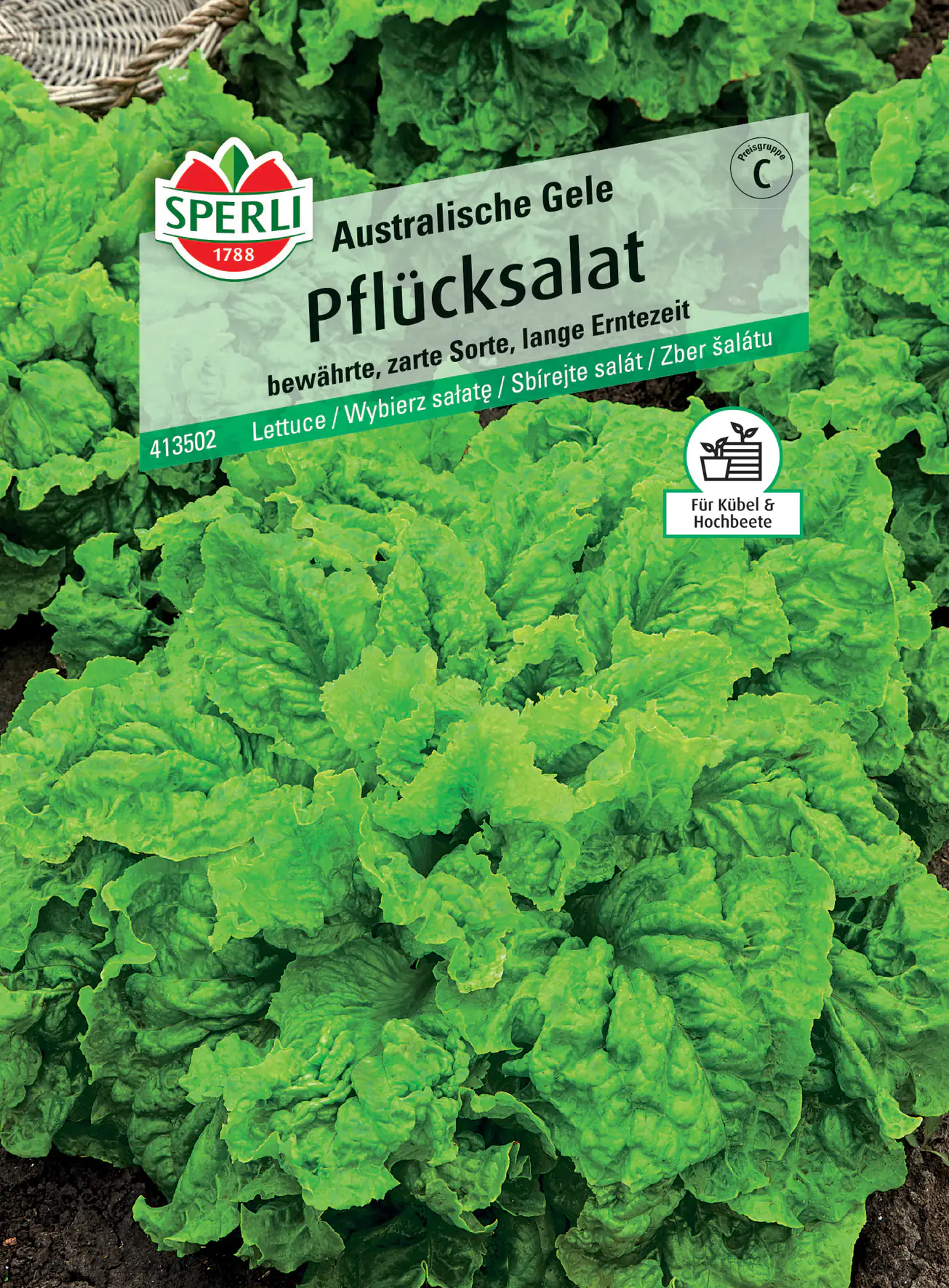 Sperli Pflücksalat Australische Gele Sperli Pflücksalat Australische Gele