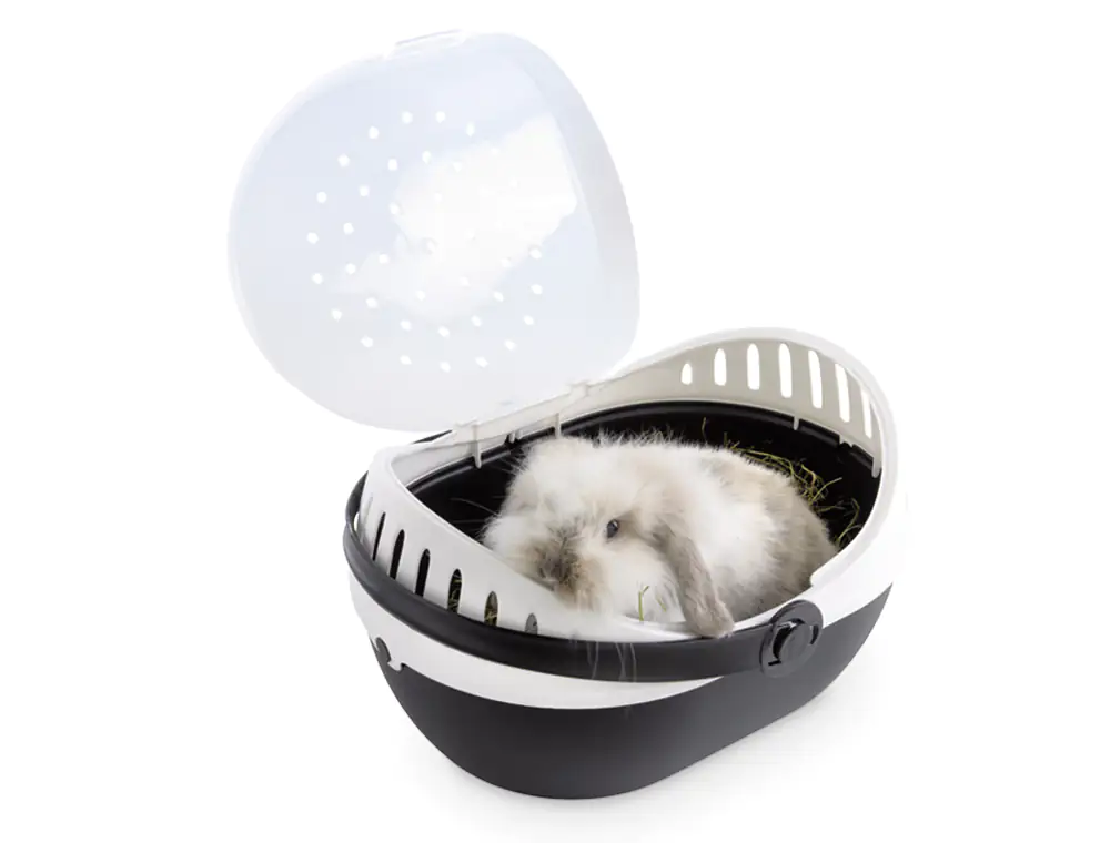 5411388327309 Nobby Transportbox Elmo schwarz