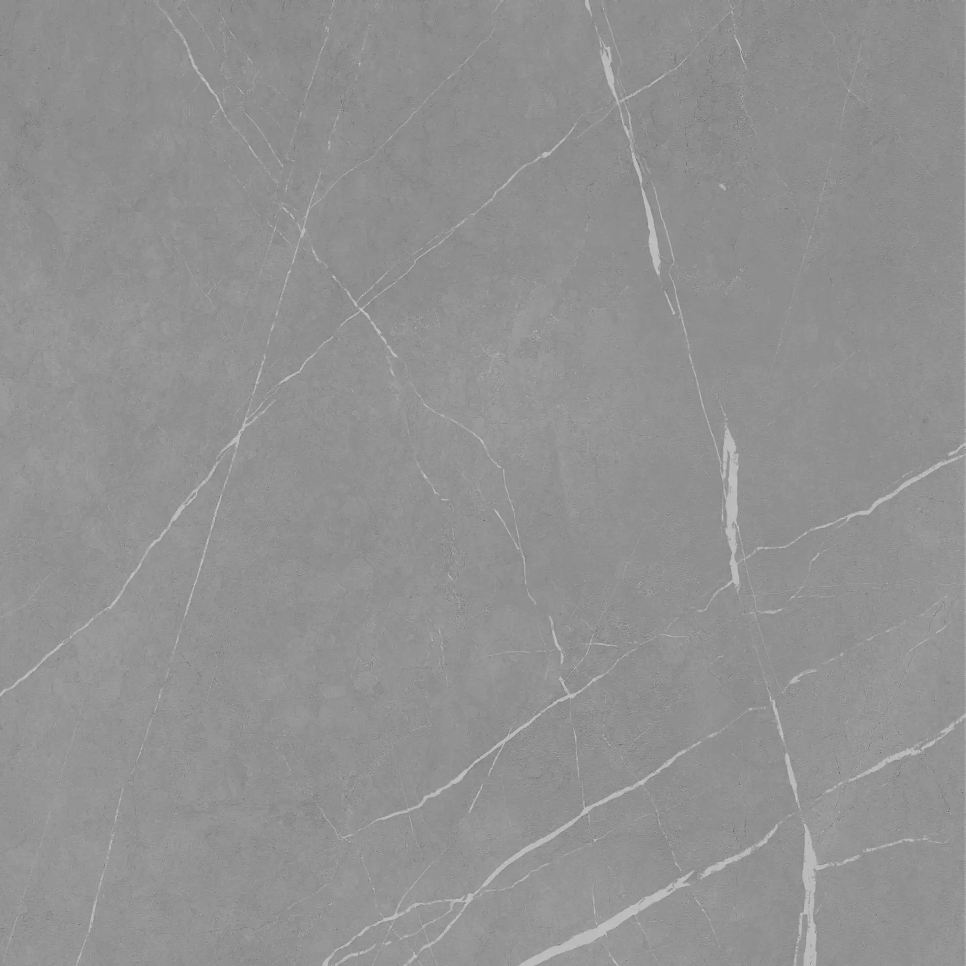 Bodenfliese Feinsteinzeug Navas 60 x 60 cm dunkelgrau