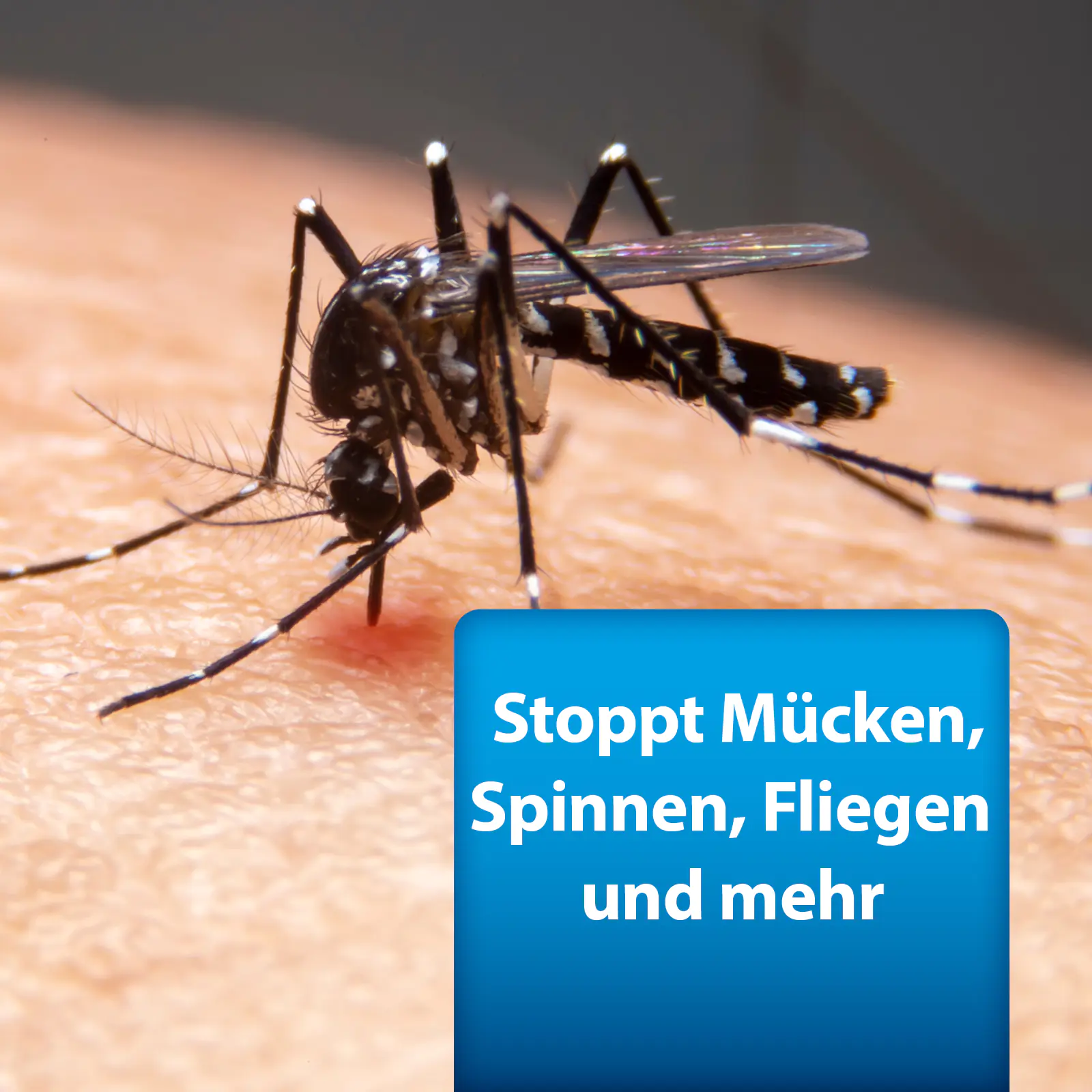 ARDAP Pro Ungezieferspray 750 ml ARDAP Pro Ungezieferspray 750 ml