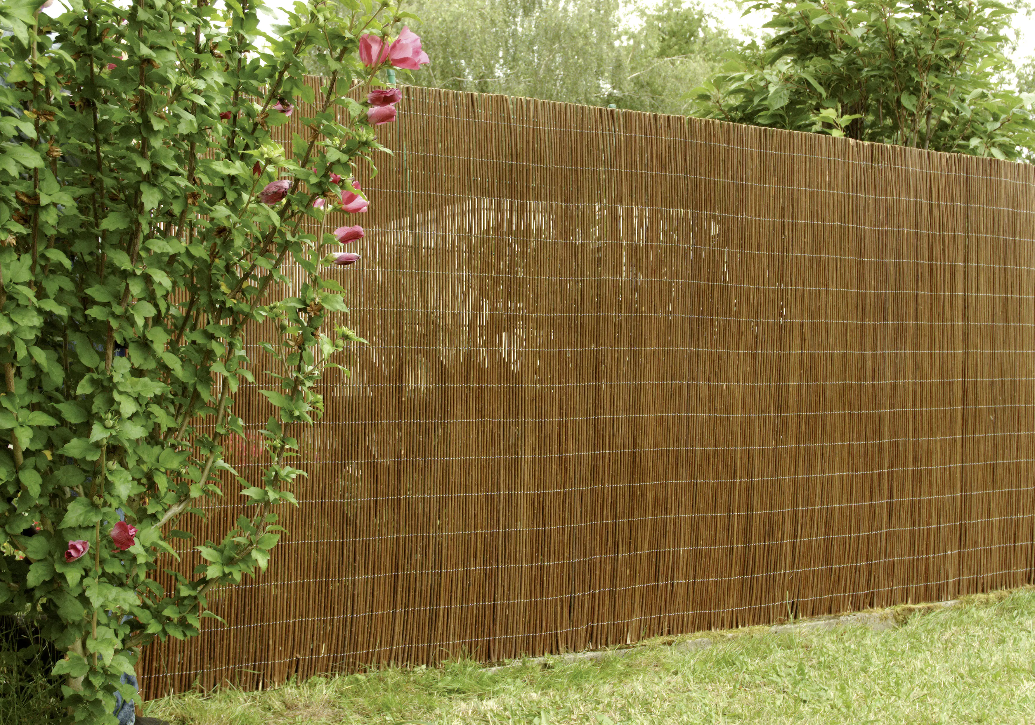 Floraworld Sichtschutz Weide 3 x 1,5 m