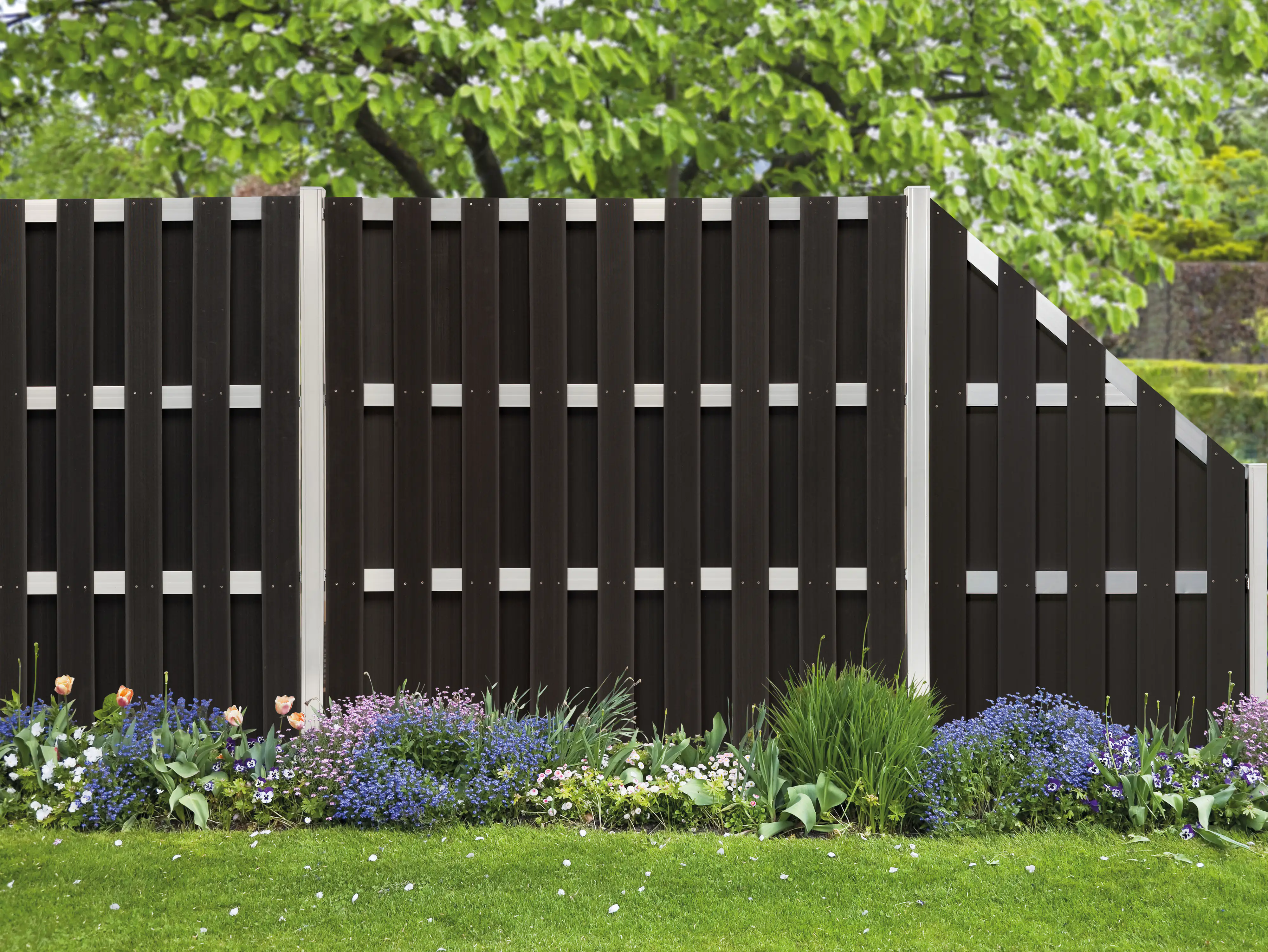 elephant T-Beschlagset Grace Line Grund-/Schmalelement eloxiert 8 Stück