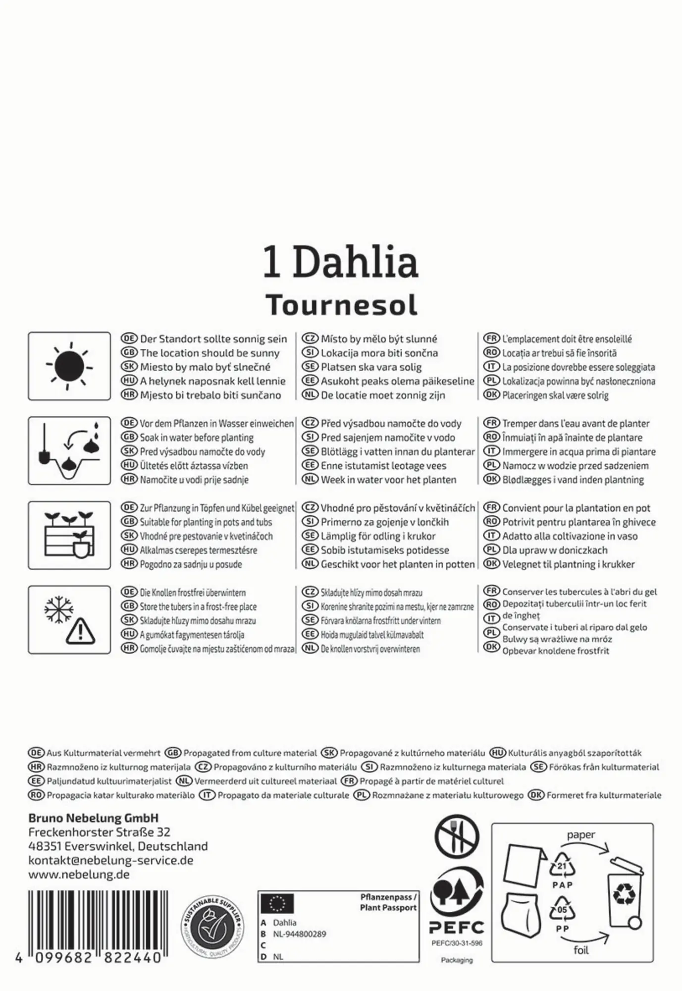 Kiepenkerl Profi-Line Frühjahrsblumenzwiebel Einfachblühende Dahlie Tournesol 1 Stück