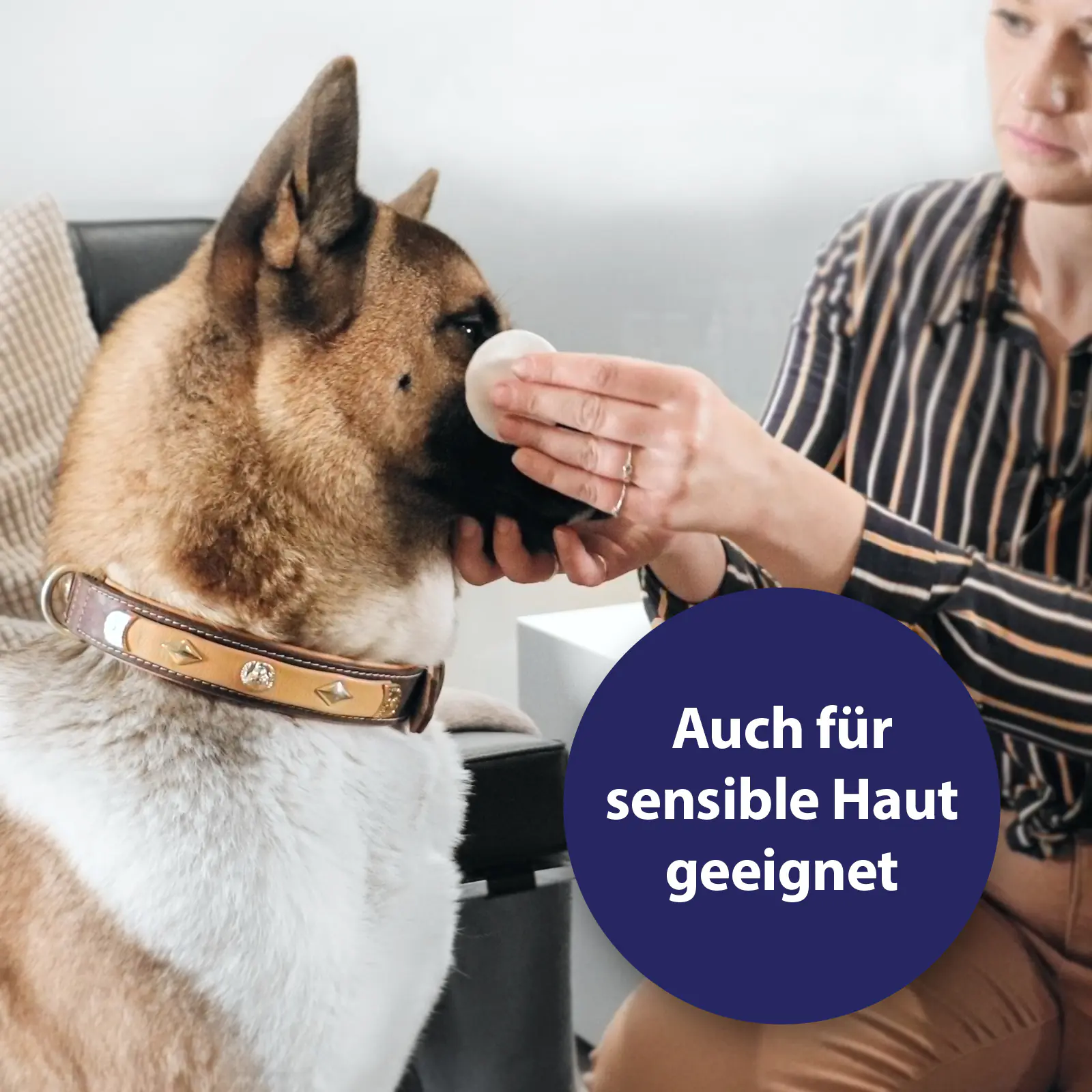 Canosept Augenpflege für Hunde 120 ml Canosept Augenpflege für Hunde 120 ml