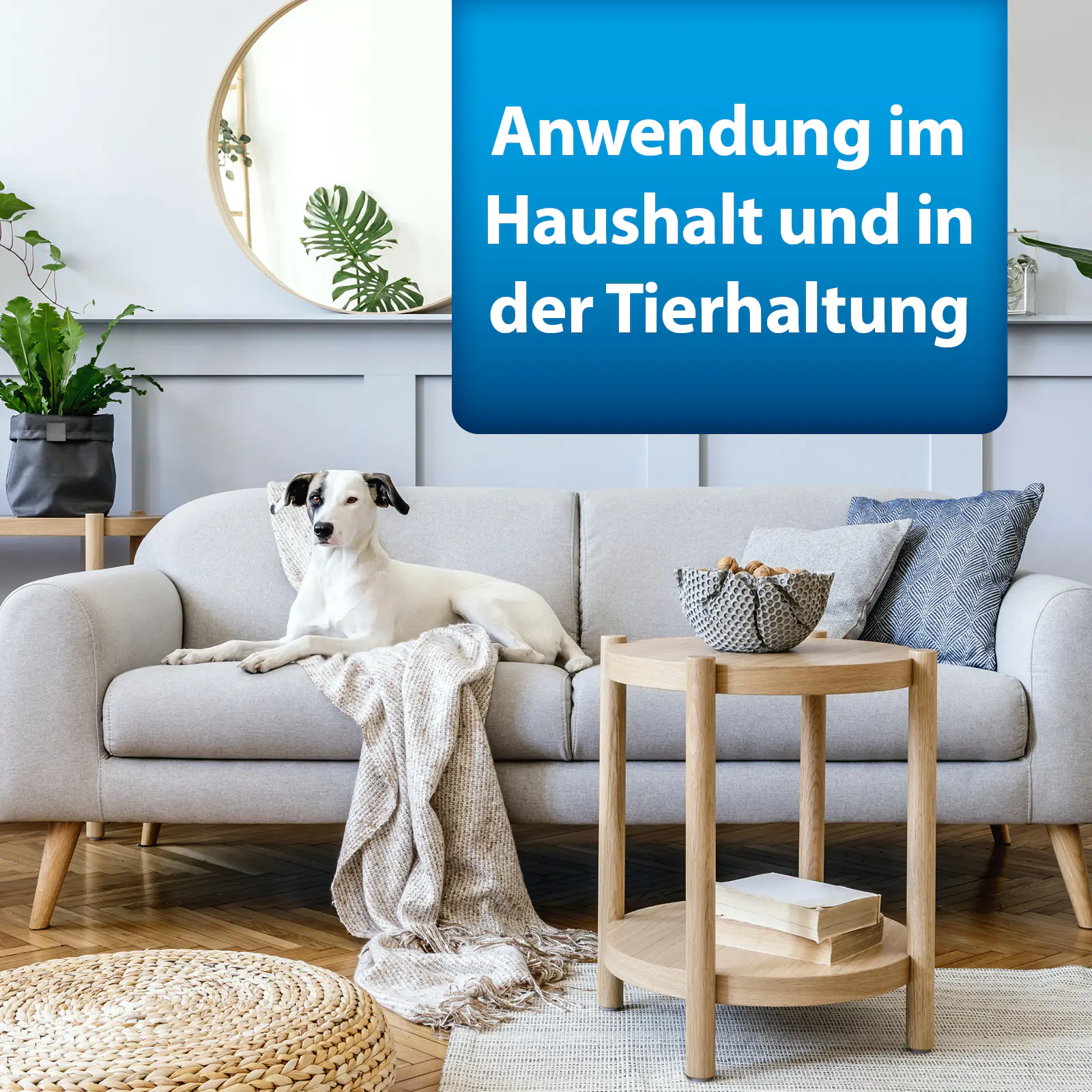 Ardap Pro Langzeit Flohspray 500 ml