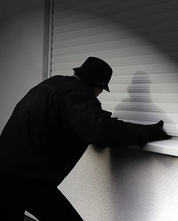 Schellenberg Rollladen-Hochschiebesicherung silber