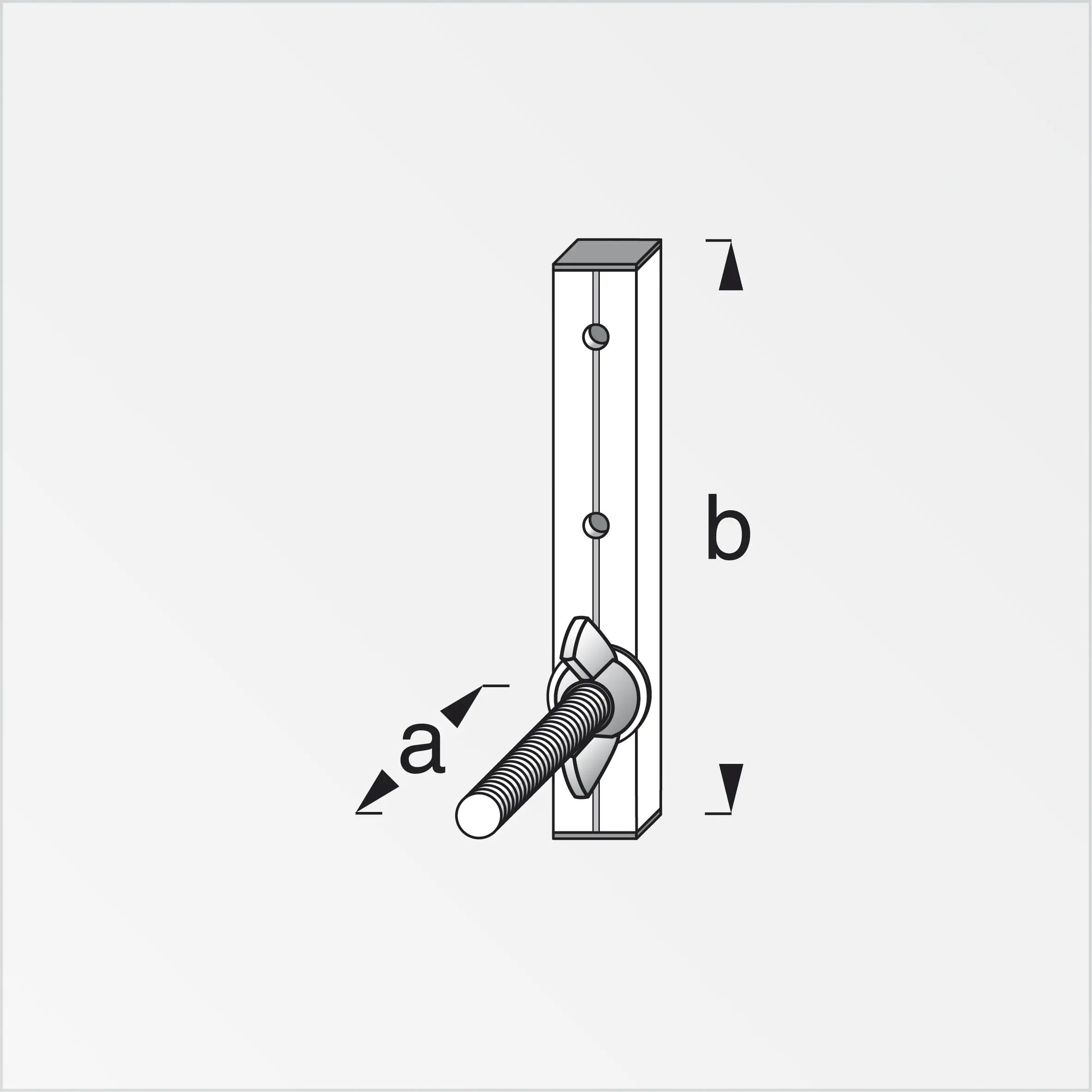 alfer Felgenhalter Dercoaxis 9 x 14 cm Aluminium roh alfer Felgenhalter Dercoaxis 9 x 14 cm Aluminium roh