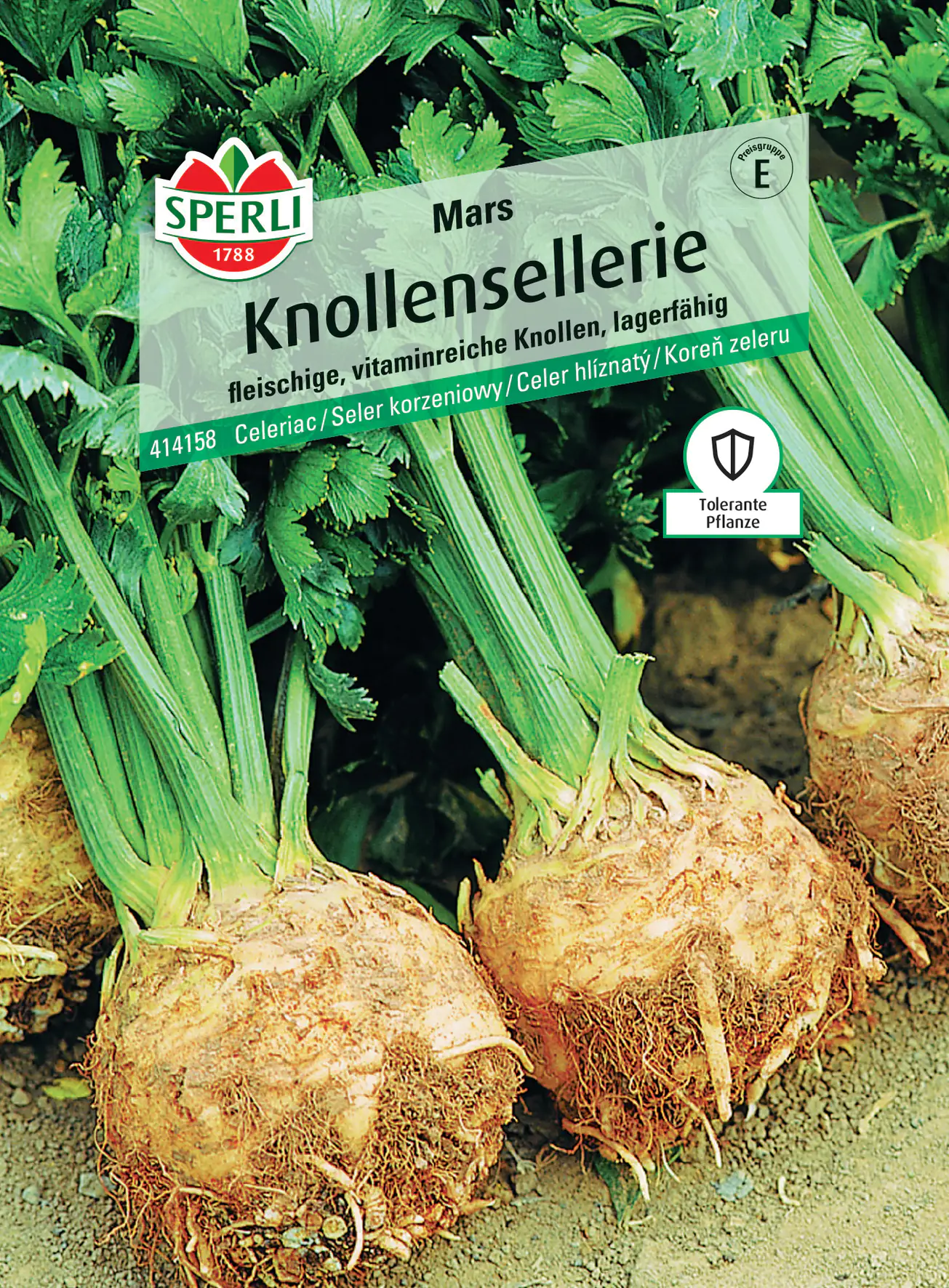 Sperli Knollensellerie Mars