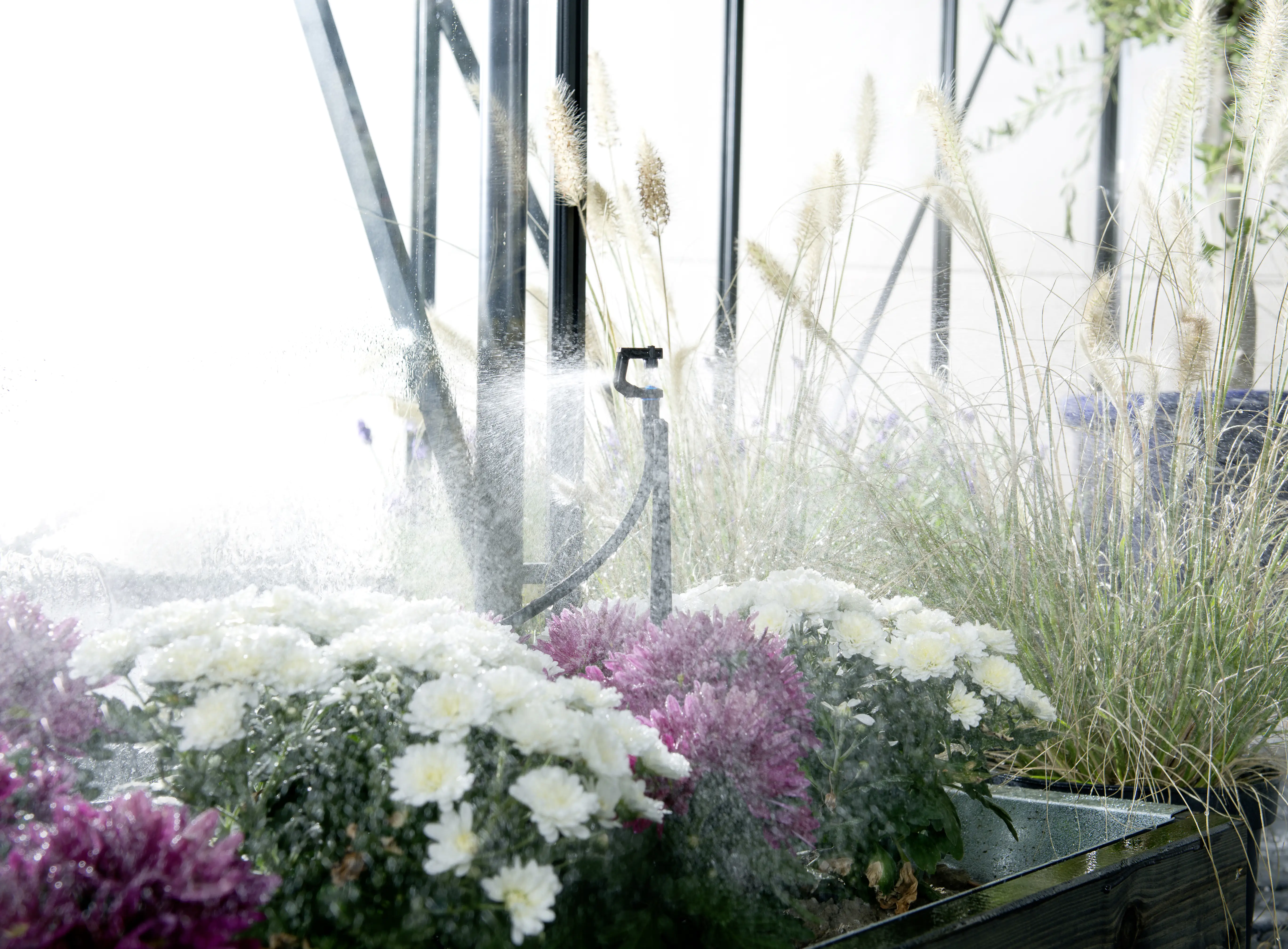 7290013857200_1541501 Elgo Bewässerungssystem MGS48