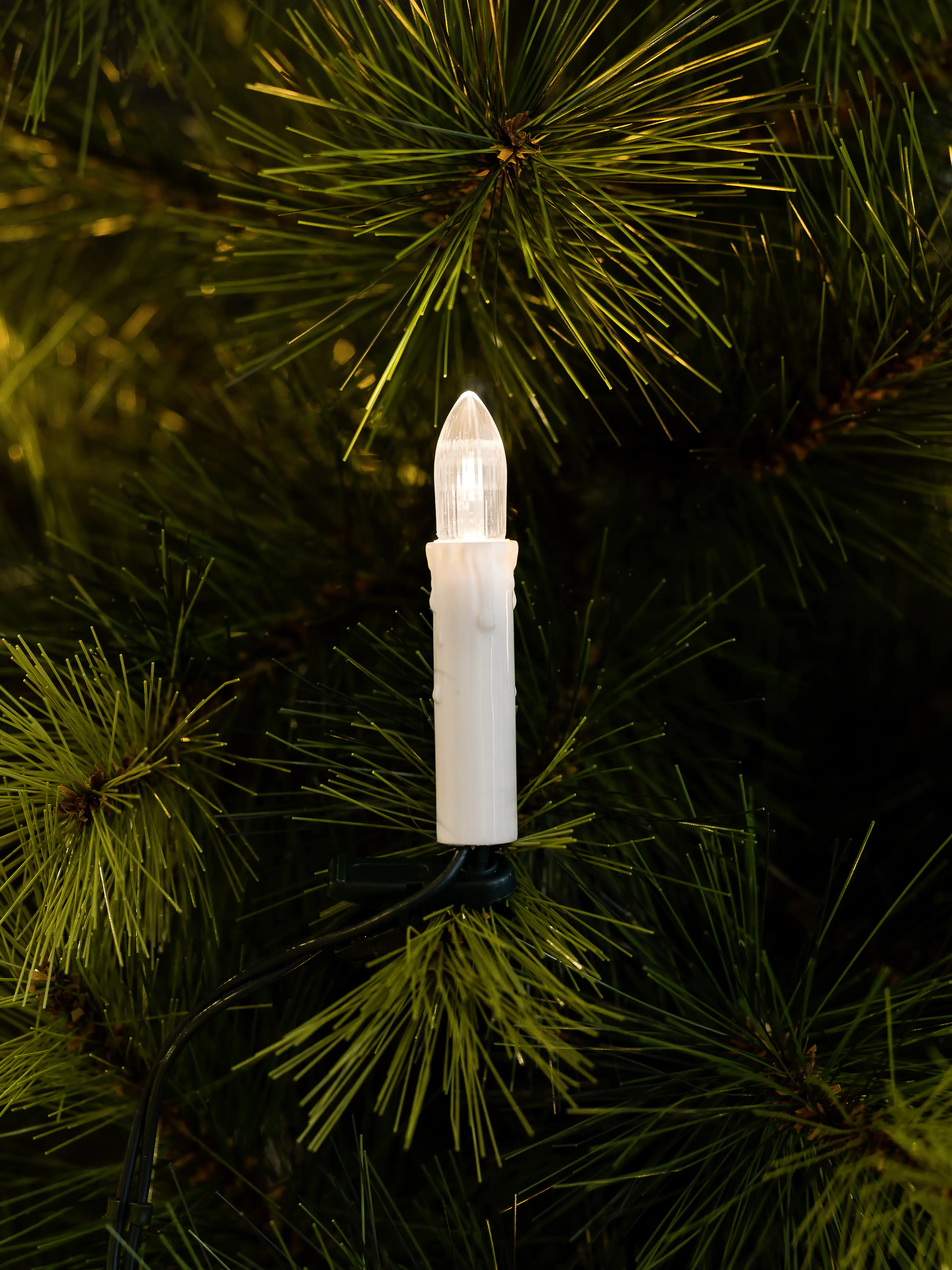 Konstsmide LED Baumkette 25 LED warmweiß