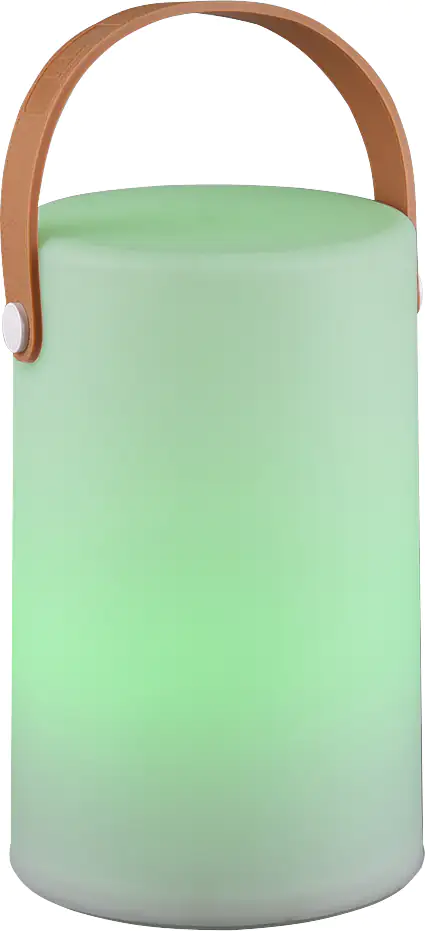 Reality Leuchten LED Akku-Tischleuchte Aruba Akku USB-Ladefunktion