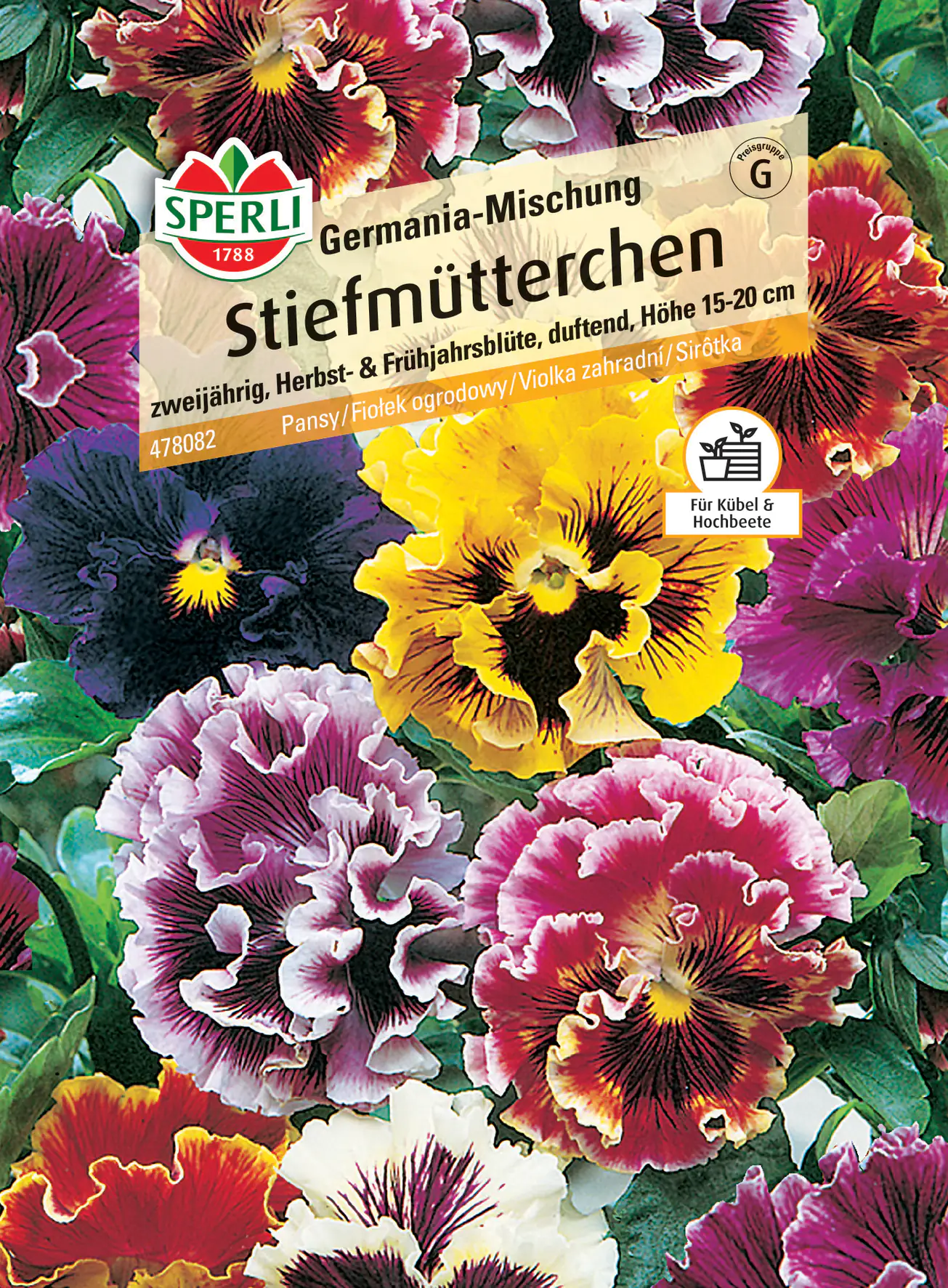 Sperli Stiefmütterchen Germania-Mischung