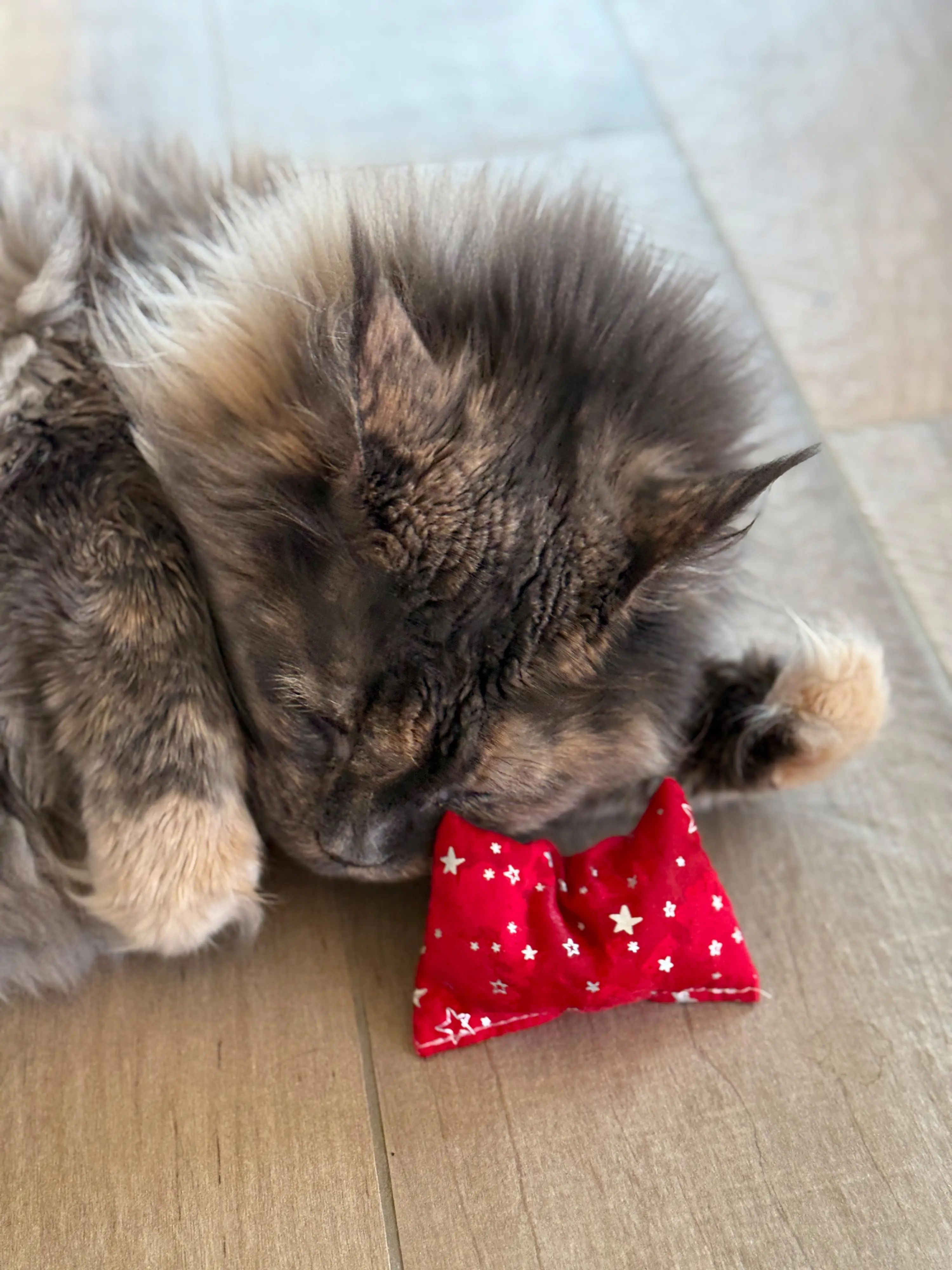 Aumüller Katzenspielzeug Weihnachten Kissen 10 cm grau rot - 2 Stk. Aumüller Katzenspielzeug Weihnachten Kissen 10 cm grau rot - 2 Stk.