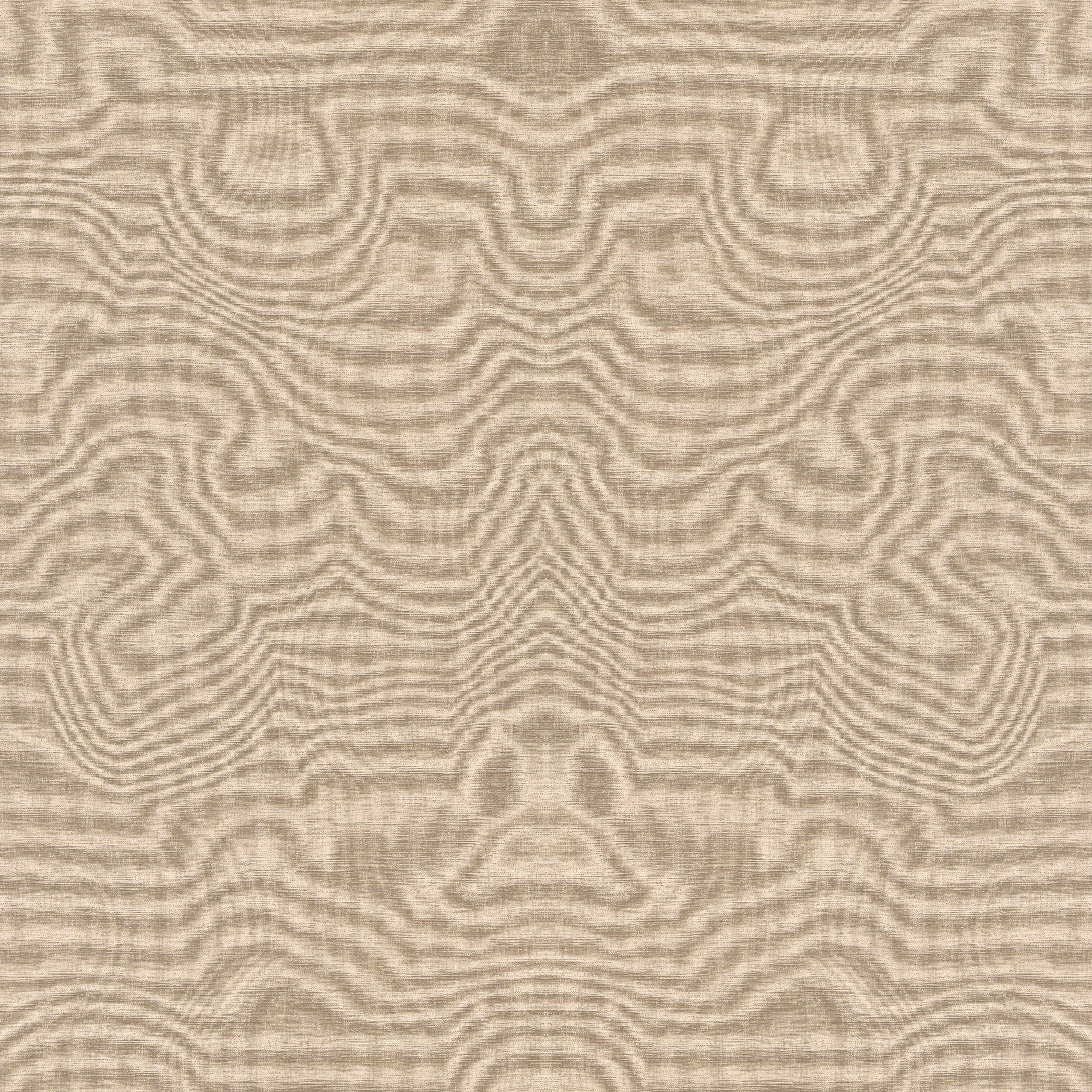 Rasch Vliestapete 687576 Tropical house uni orange, 10,05 x 053 m Rasch Vliestapete 687576 Tropical house uni orange, 10,05 x 053 m