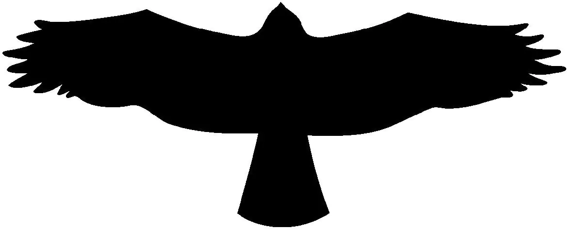 Conacord Klebeschild "Bussard"