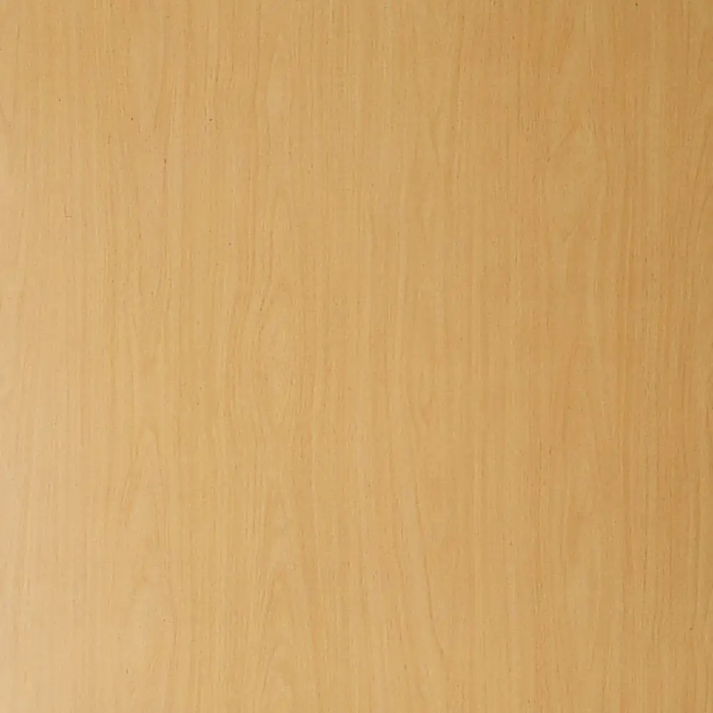 Borne Türblatt Dekor Buche Wabenkern