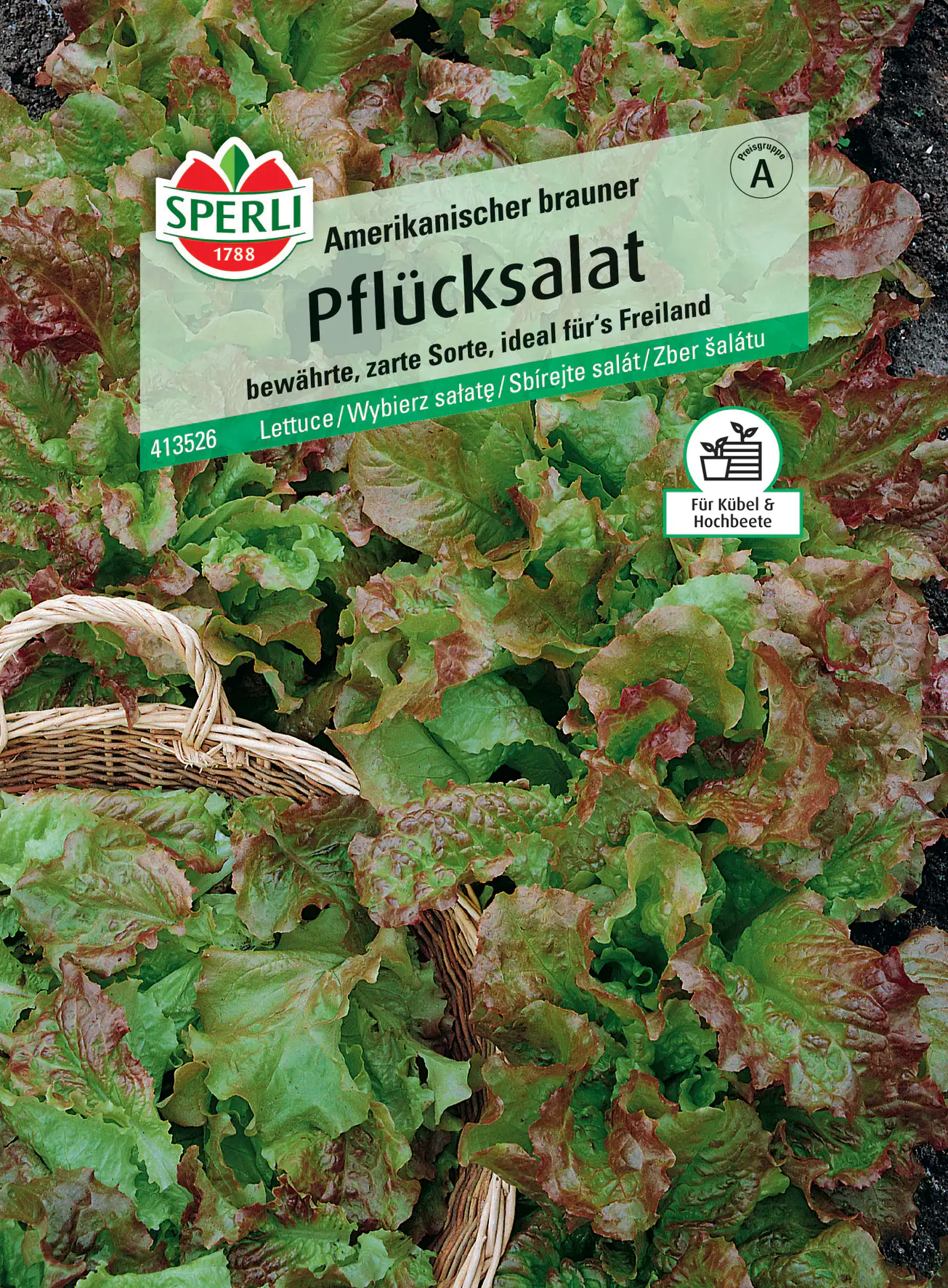 Sperli Pflücksalat Amerikanischer brauner Sperli Pflücksalat Amerikanischer brauner