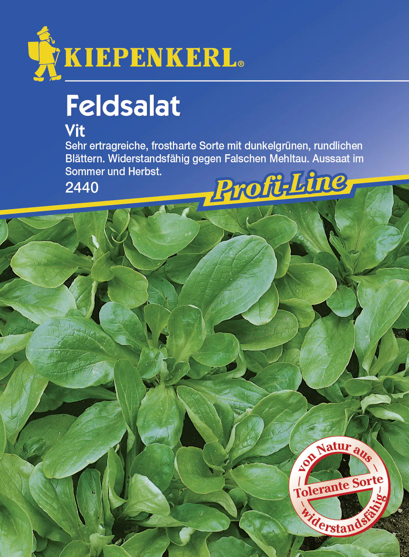 Kiepenkerl Feldsalat Vit Valerianella locusta, Inhalt: ca. 5 lfd. Meter Kiepenkerl Feldsalat Vit Valerianella locusta, Inhalt: ca. 5 lfd. Meter