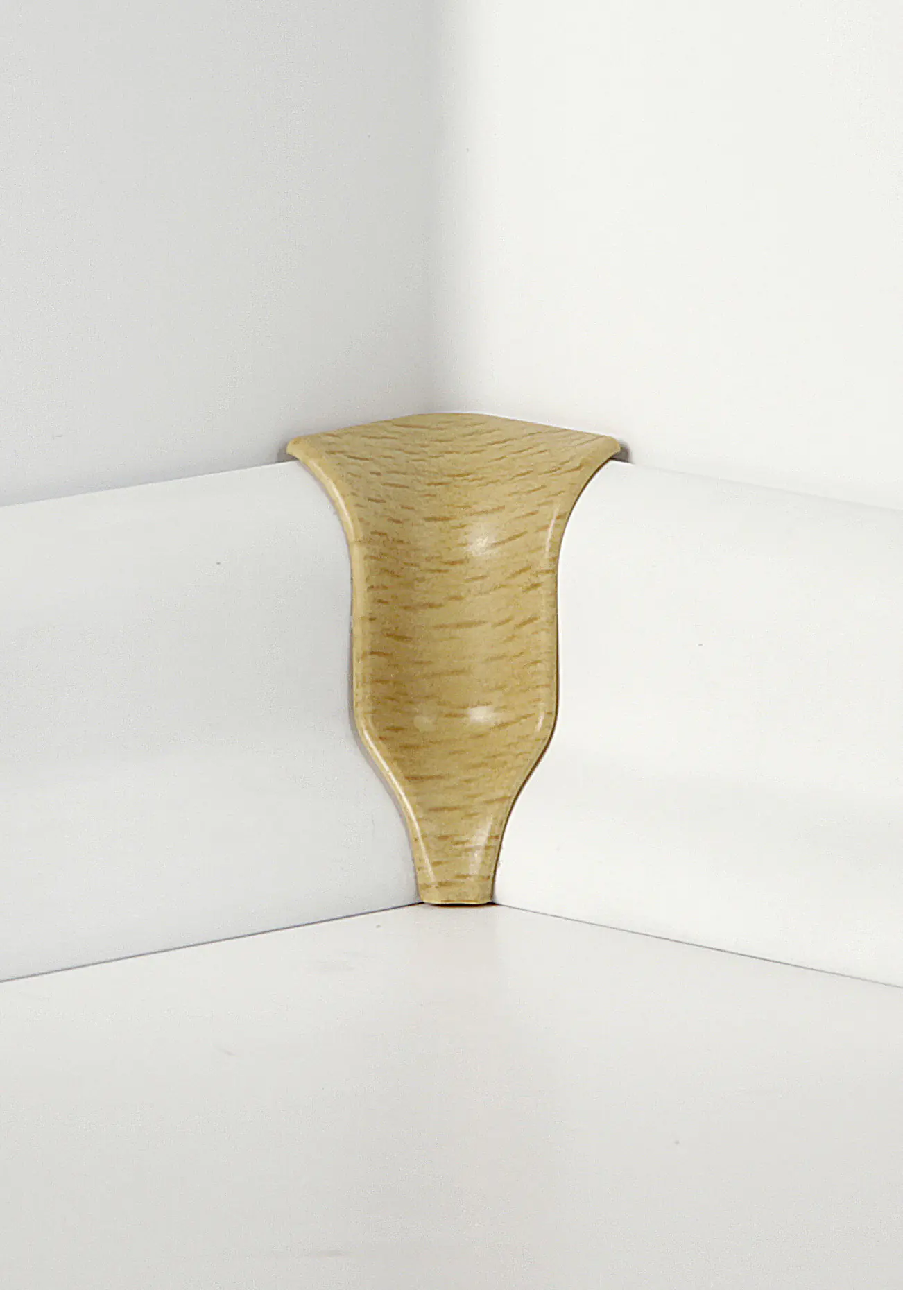 Classen Innenecke buche Holzpore