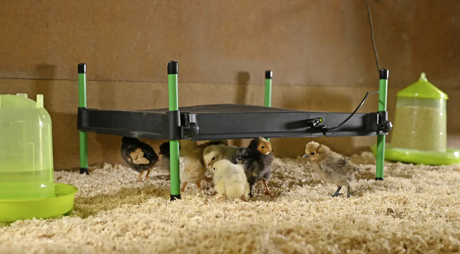 Kerbl Wärmeplatte CosyHeat 40x50 cm 24 V schwarz/grün