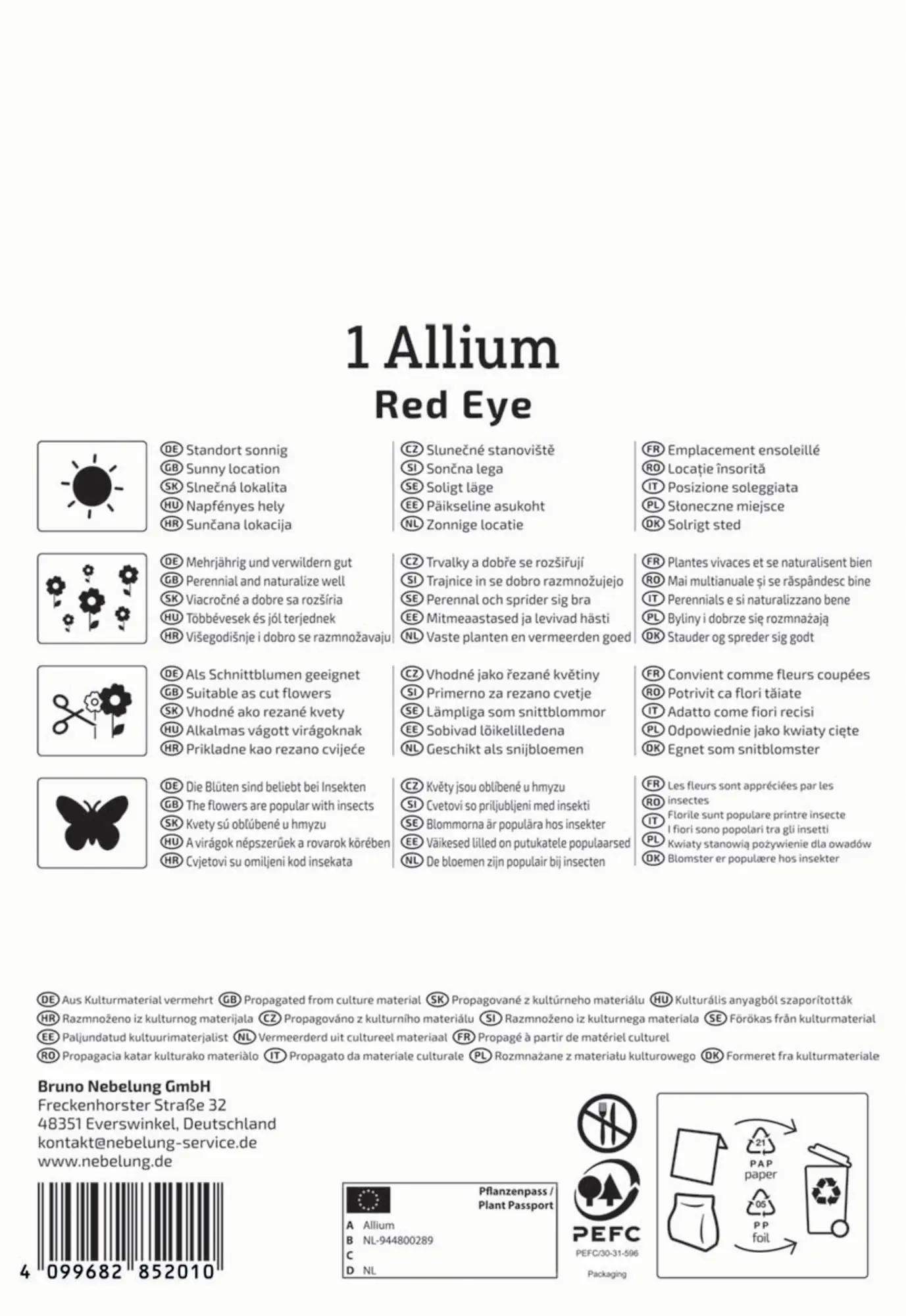 Kiepenkerl Herbstblumenzwiebel Profi-Line Zierlauch Red Eye 1 Stück