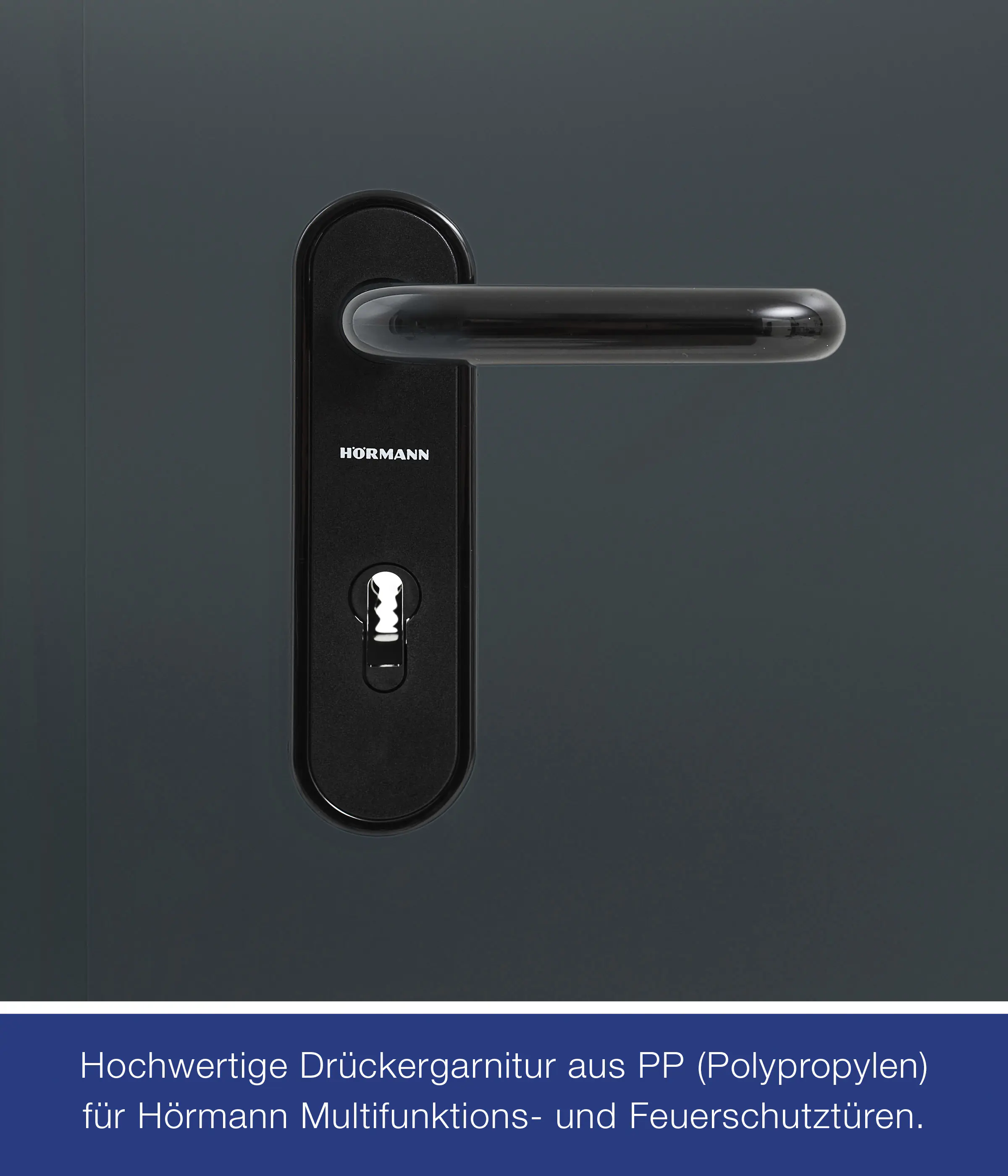 Hörmann Kellertür mit Lichtausschnitt anthrazitgrau 100 x 200 cm Links/Rechts