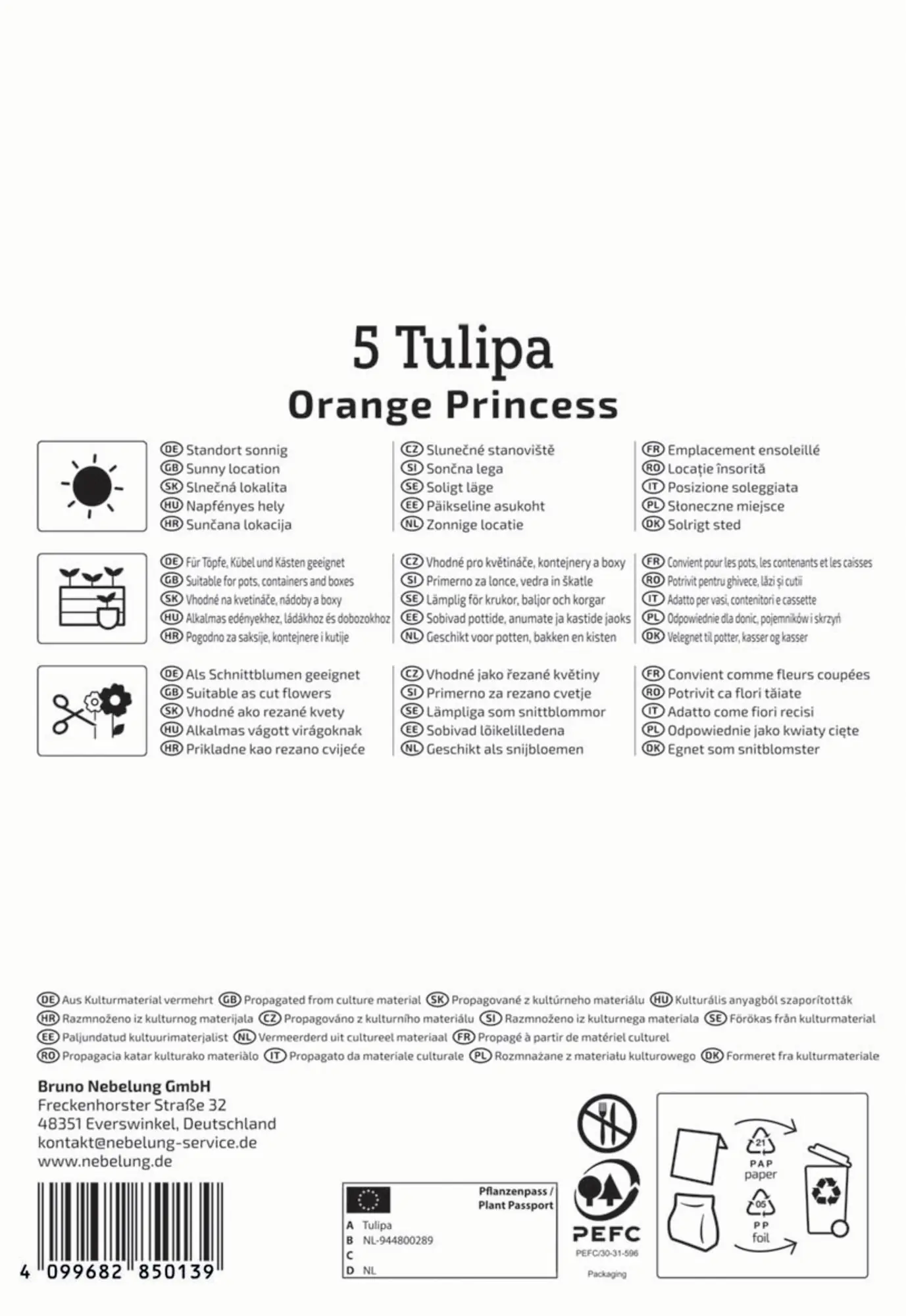 Kiepenkerl Herbstblumenzwiebel Tulpe Orange Princess 5 Stück