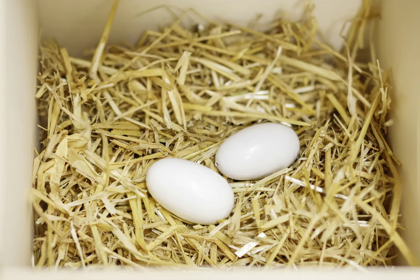 Kerbl Nesteier aus Holz