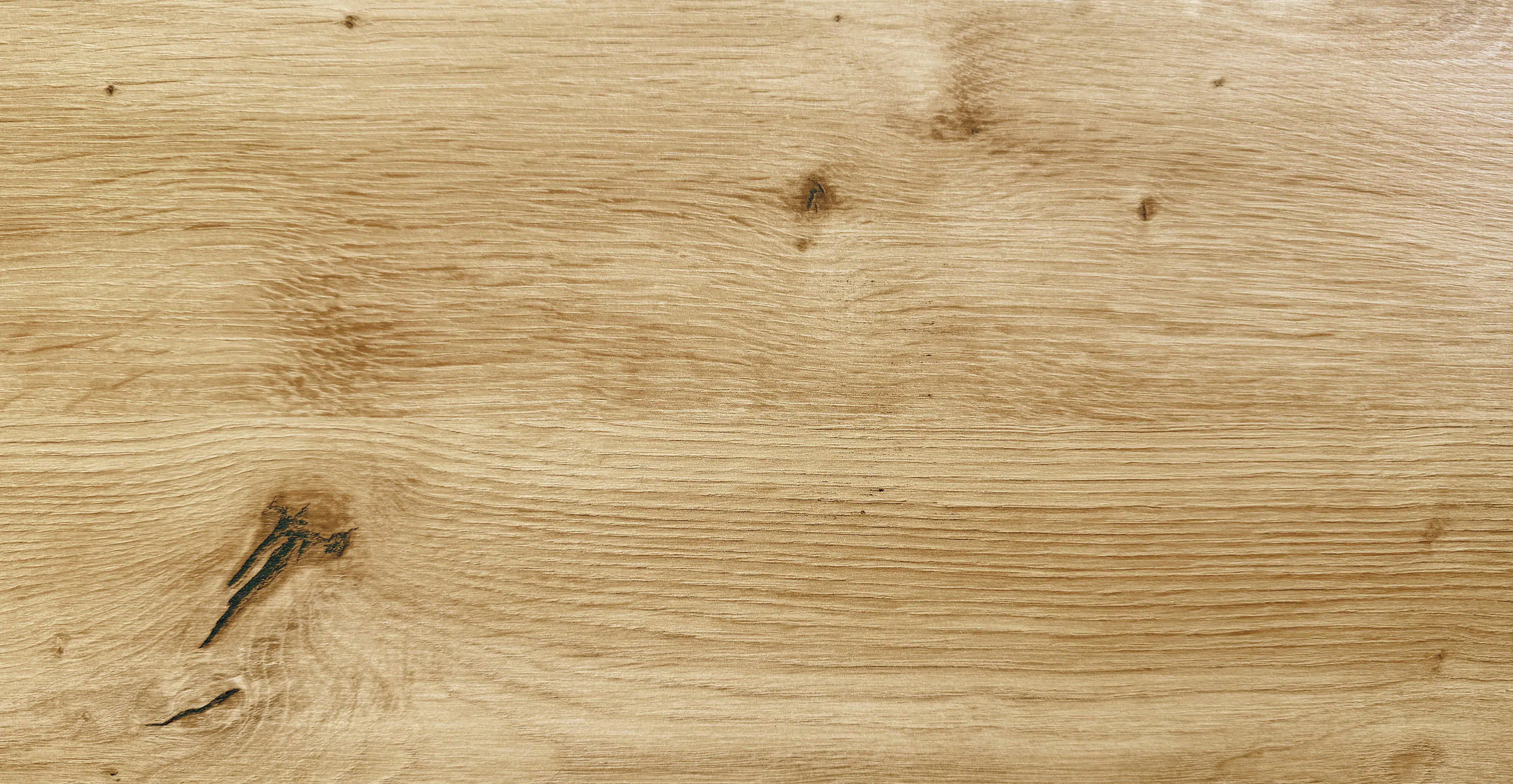 Regalboden Eiche astig 120 x 50 x 1,6 cm