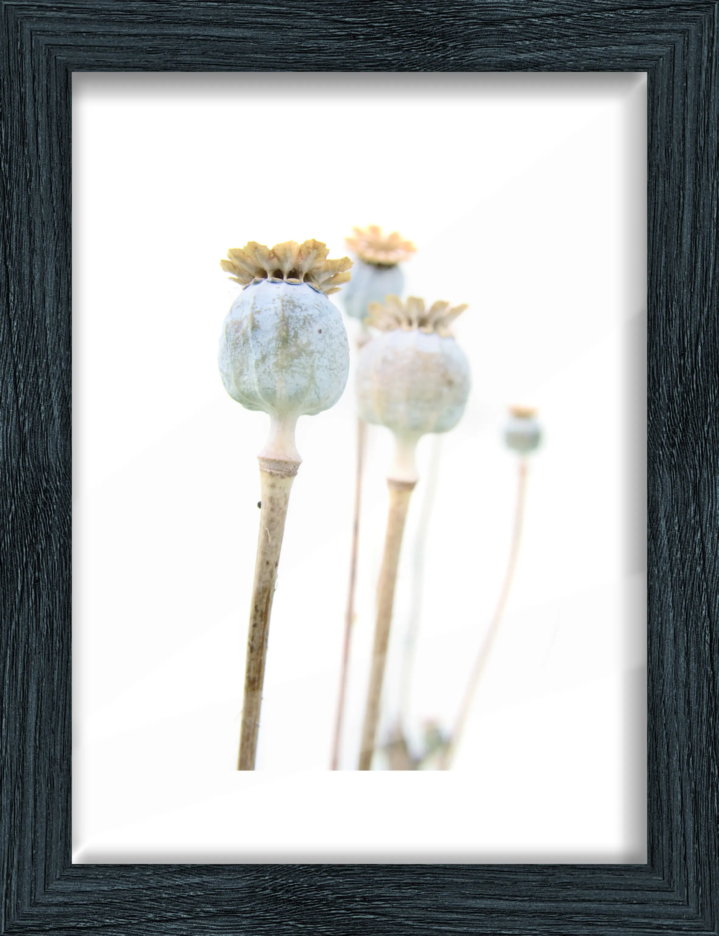 Bilderrahmen Holz Arosa eiche schwarz 18 x 24 cm