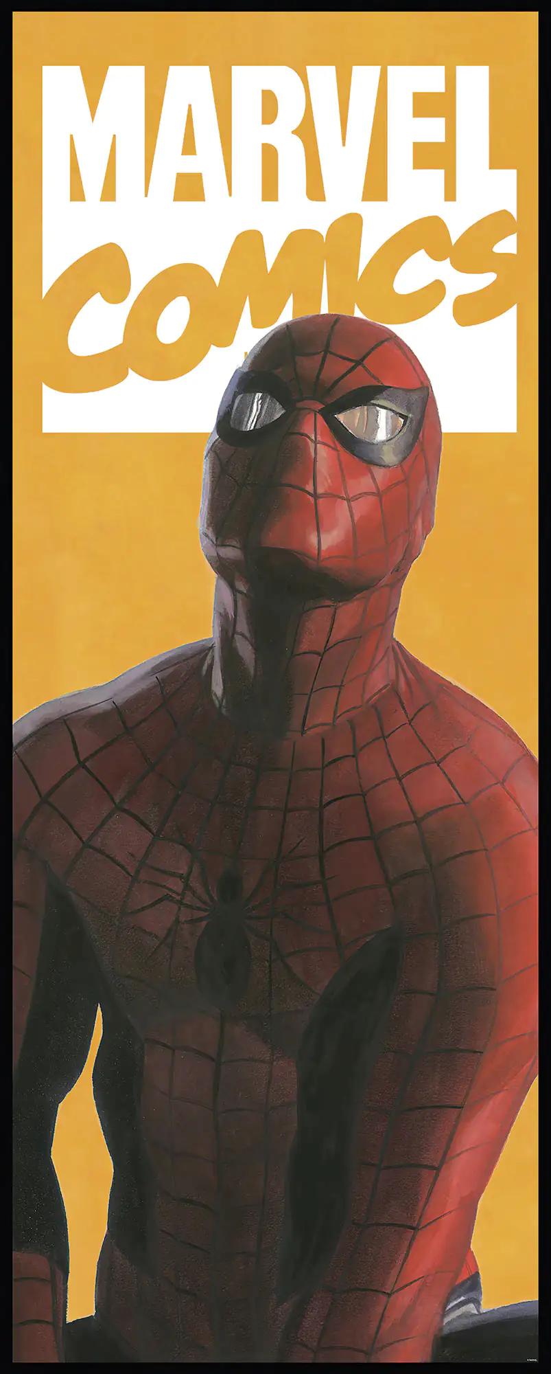 Komar Vlies Fototapete Spider-Man Comic 100 x 250 cm 