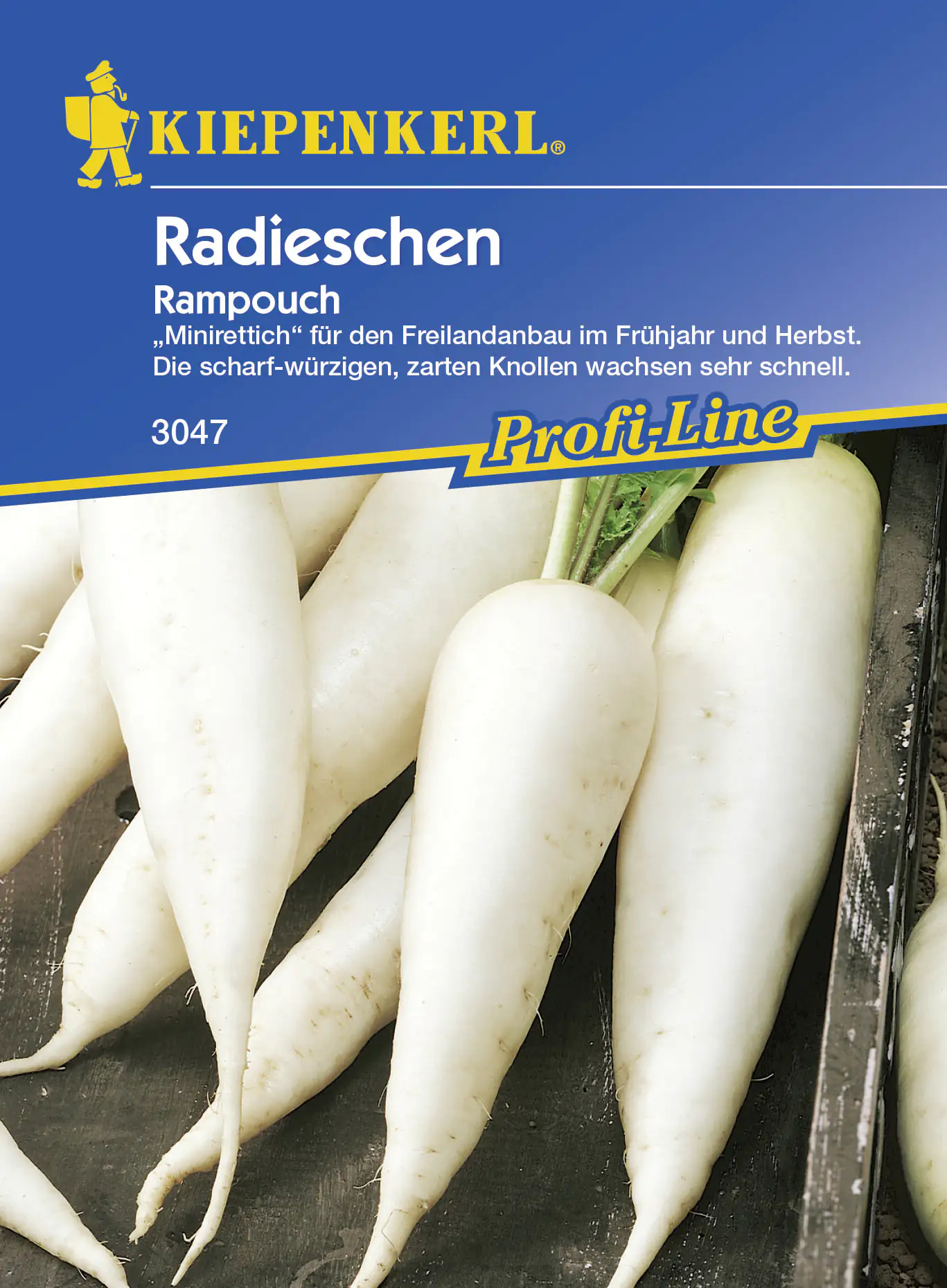 Kiepenkerl Radieschen Rampouch ca. 15 lfd. Meter
