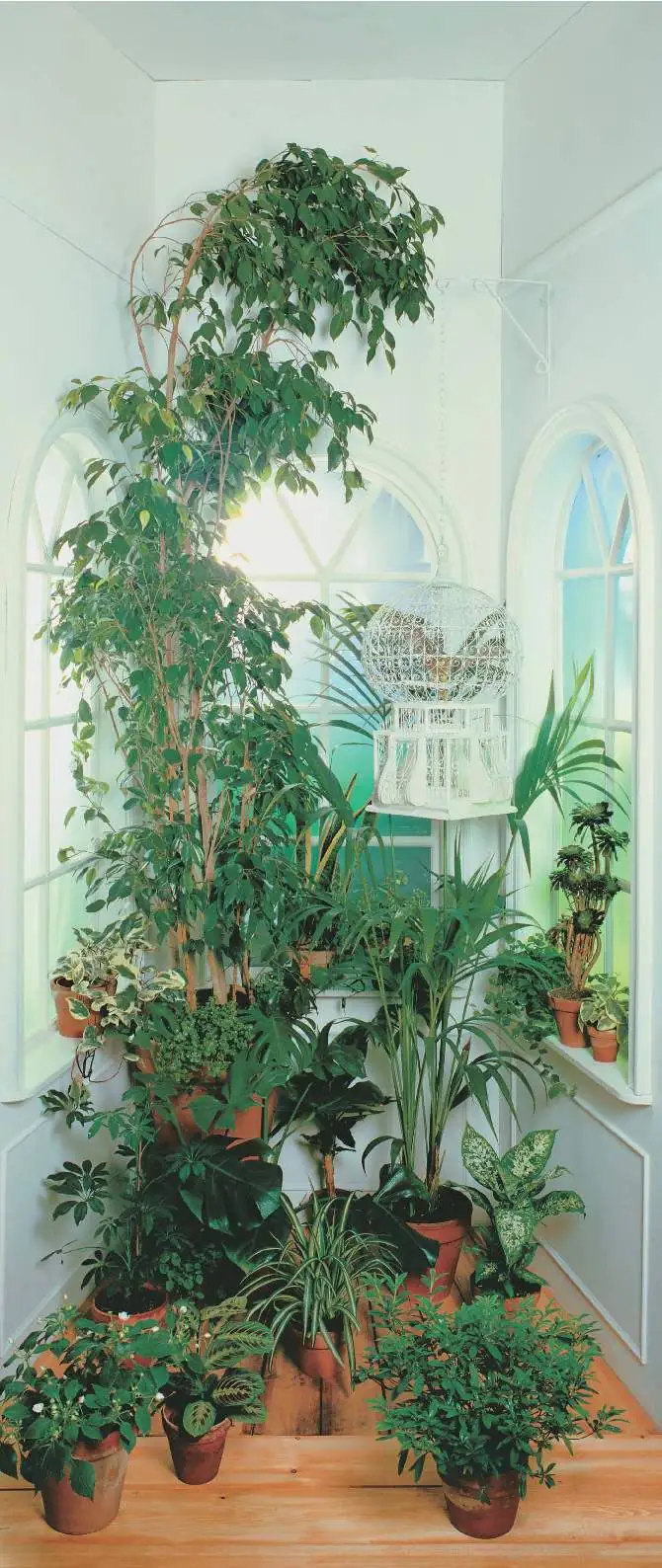 papermoon Vlies-Fototapete Wand & Türdekor Digitaldruck 90 x 200 cm Window